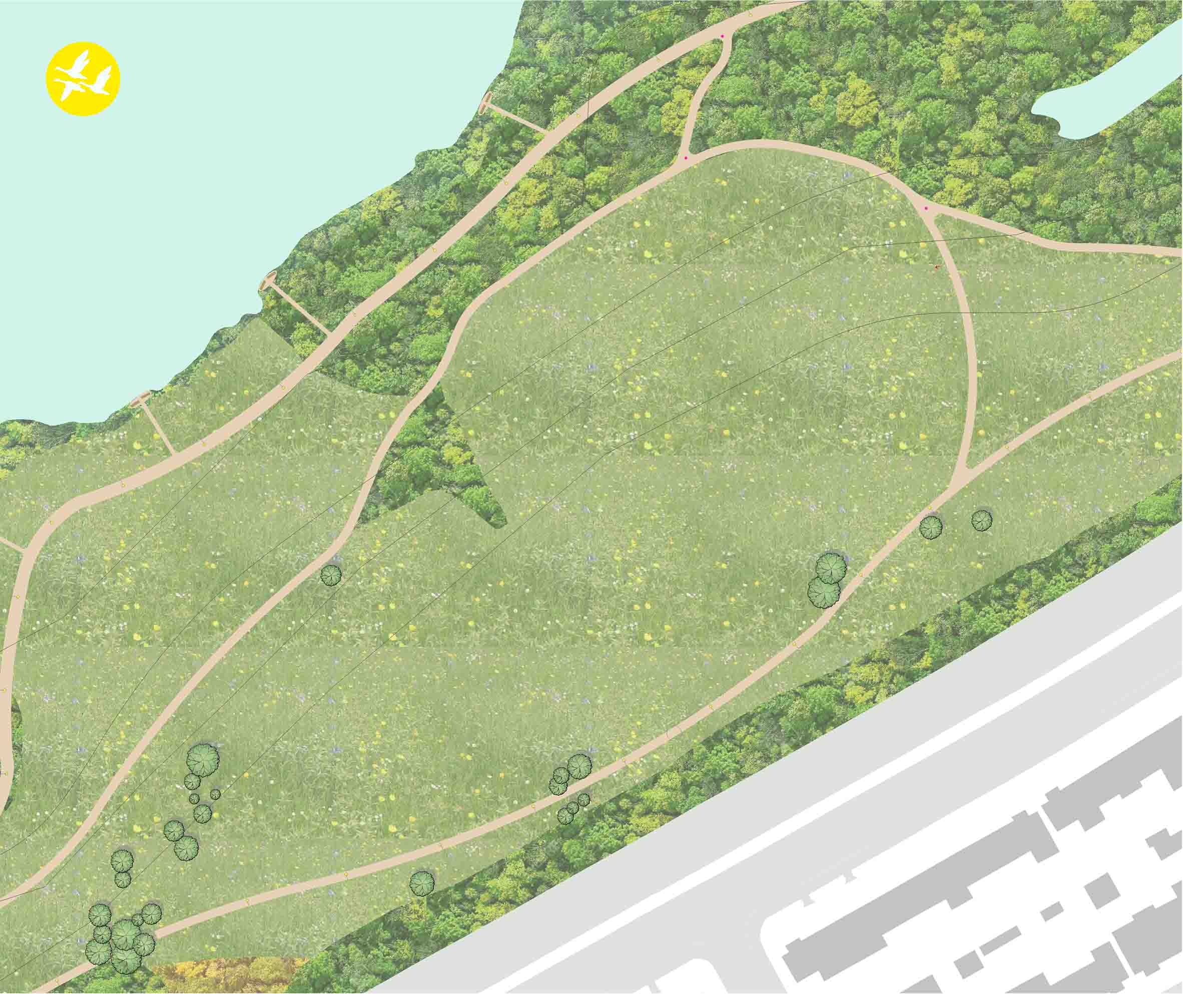 Plan of a Conservation Area