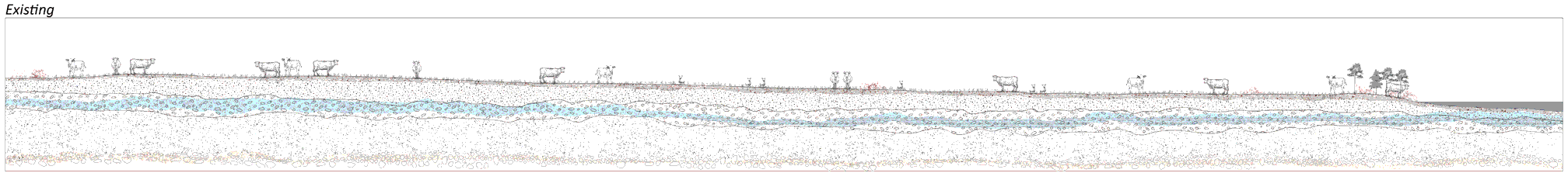 Dynamic processes from B-B'