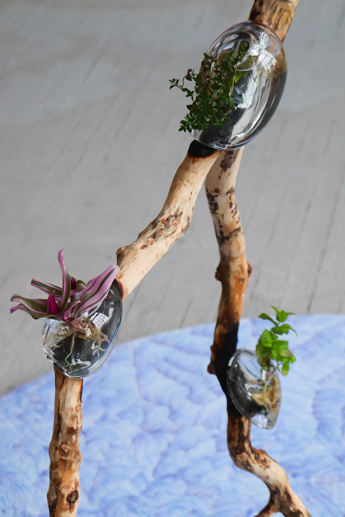 Le jardin du vide, graduate show 2023.