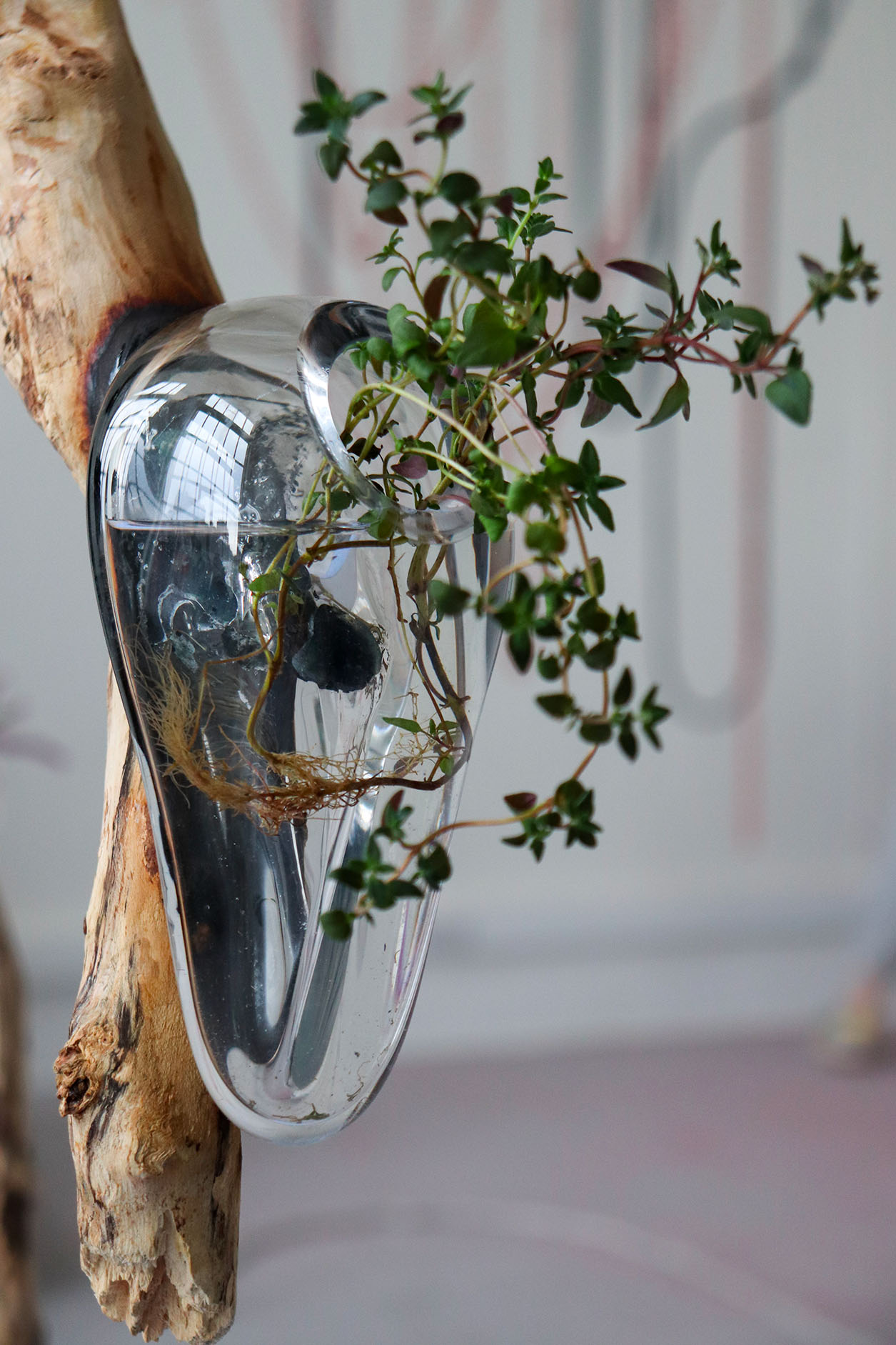 Le jardin du vide, graduate show 2023.