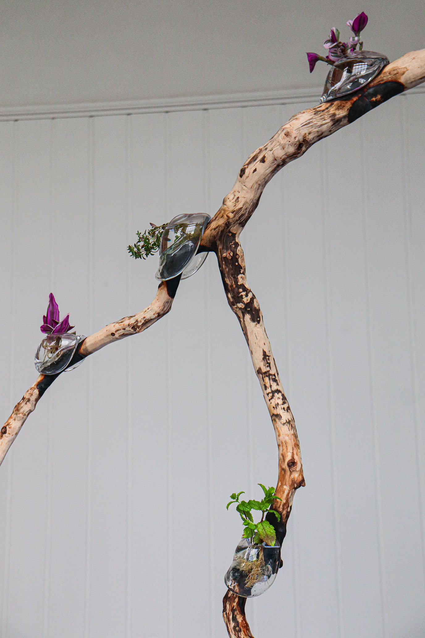 Le jardin du vide, graduate show 2023.