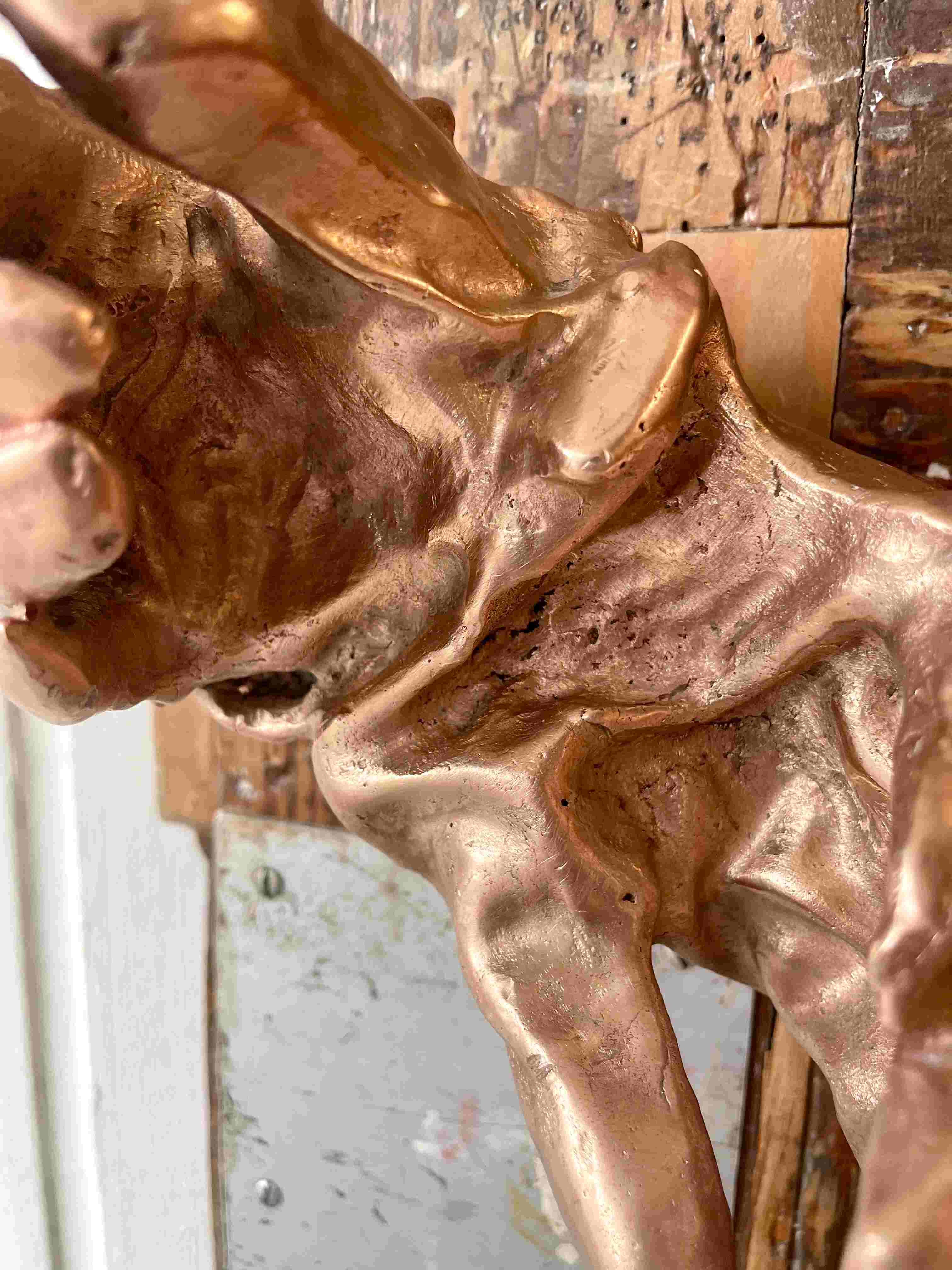 Bronze hand door handle details 