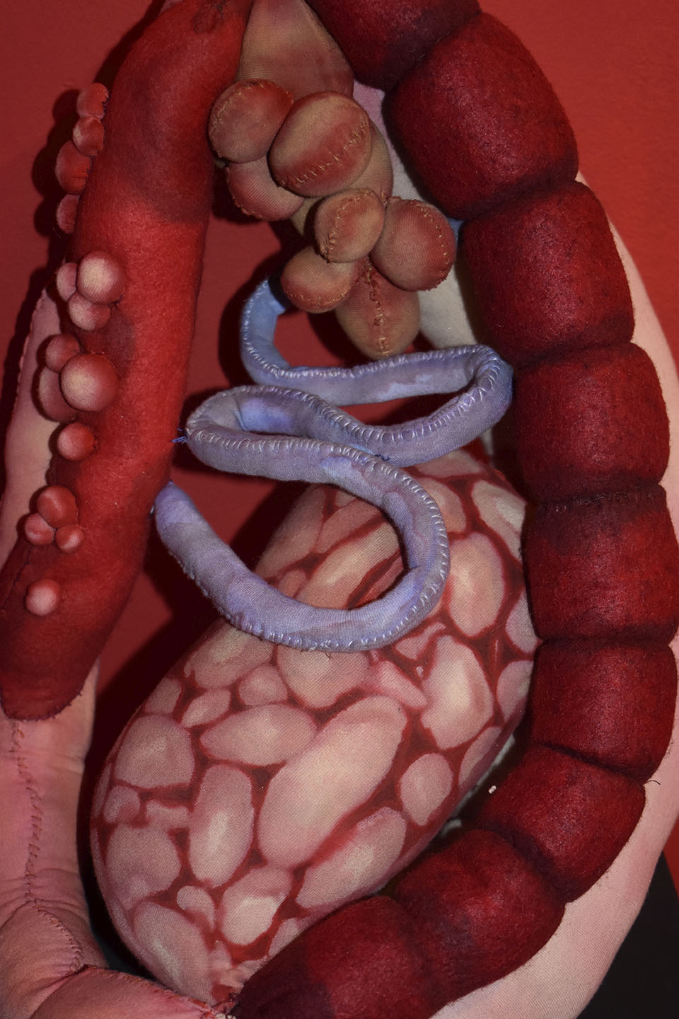 Organ-like soft sculpture, detail shot