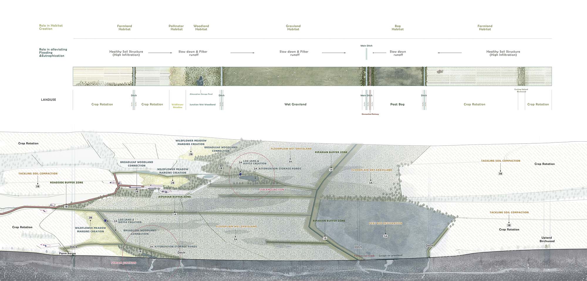 Section & Landform (in 50yrs)