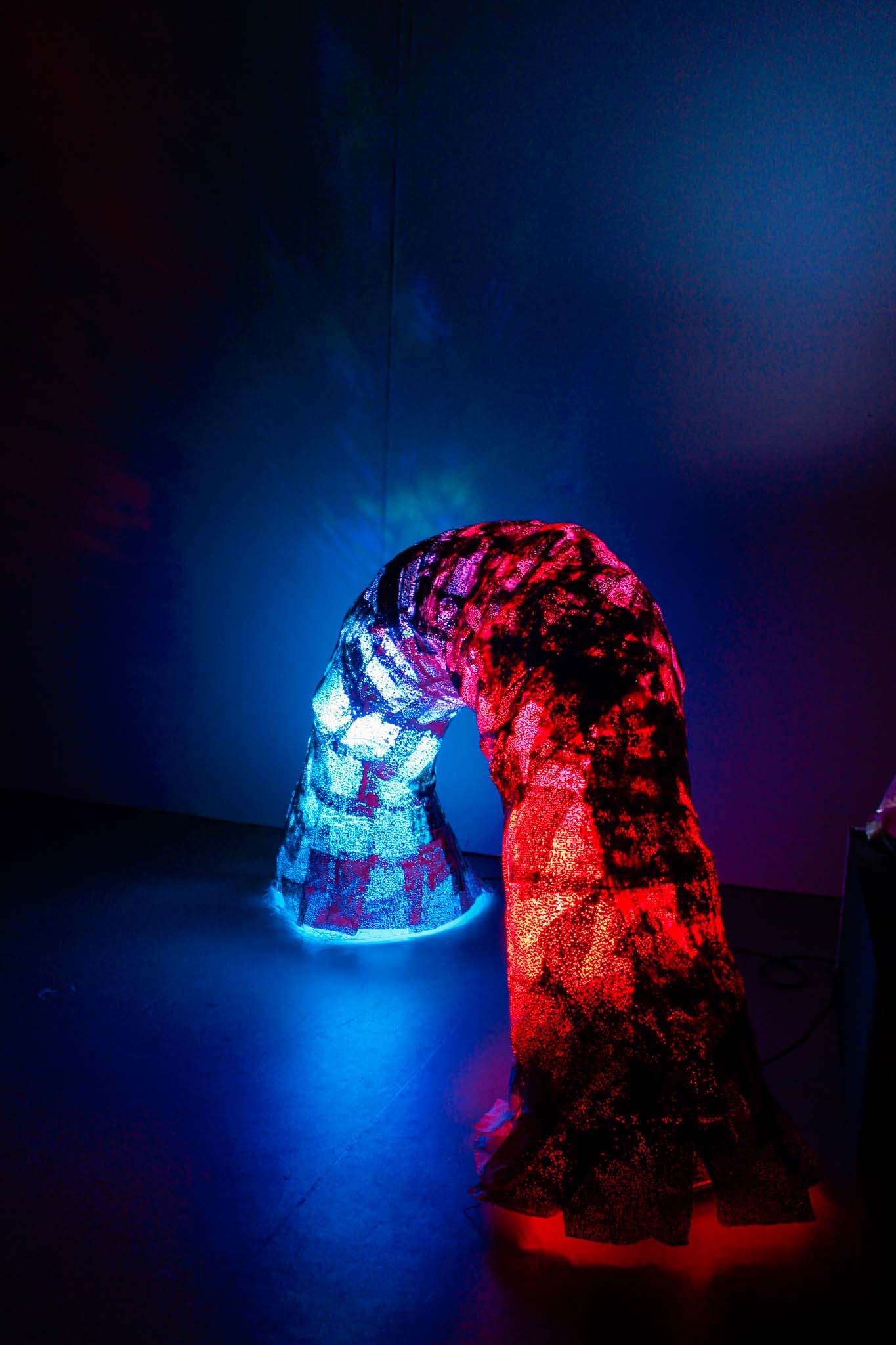 wire and paper mache sculpture. Lit from within with LED stage lights. 