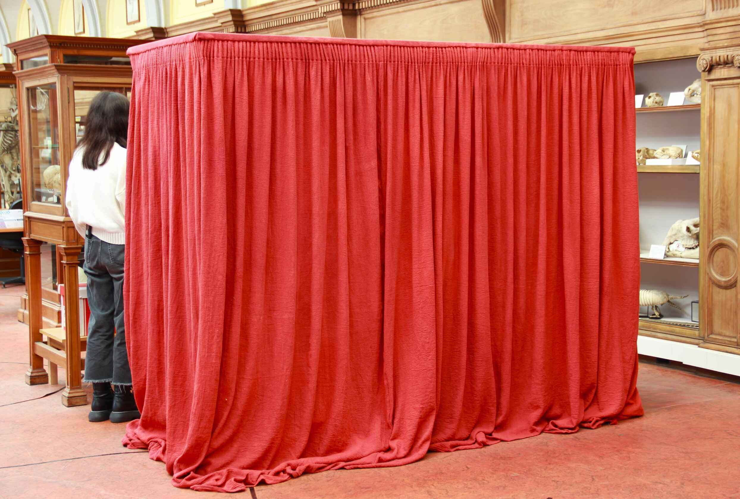 Large anatomy specimens cabinet, shrouded with dense red curtaining.
