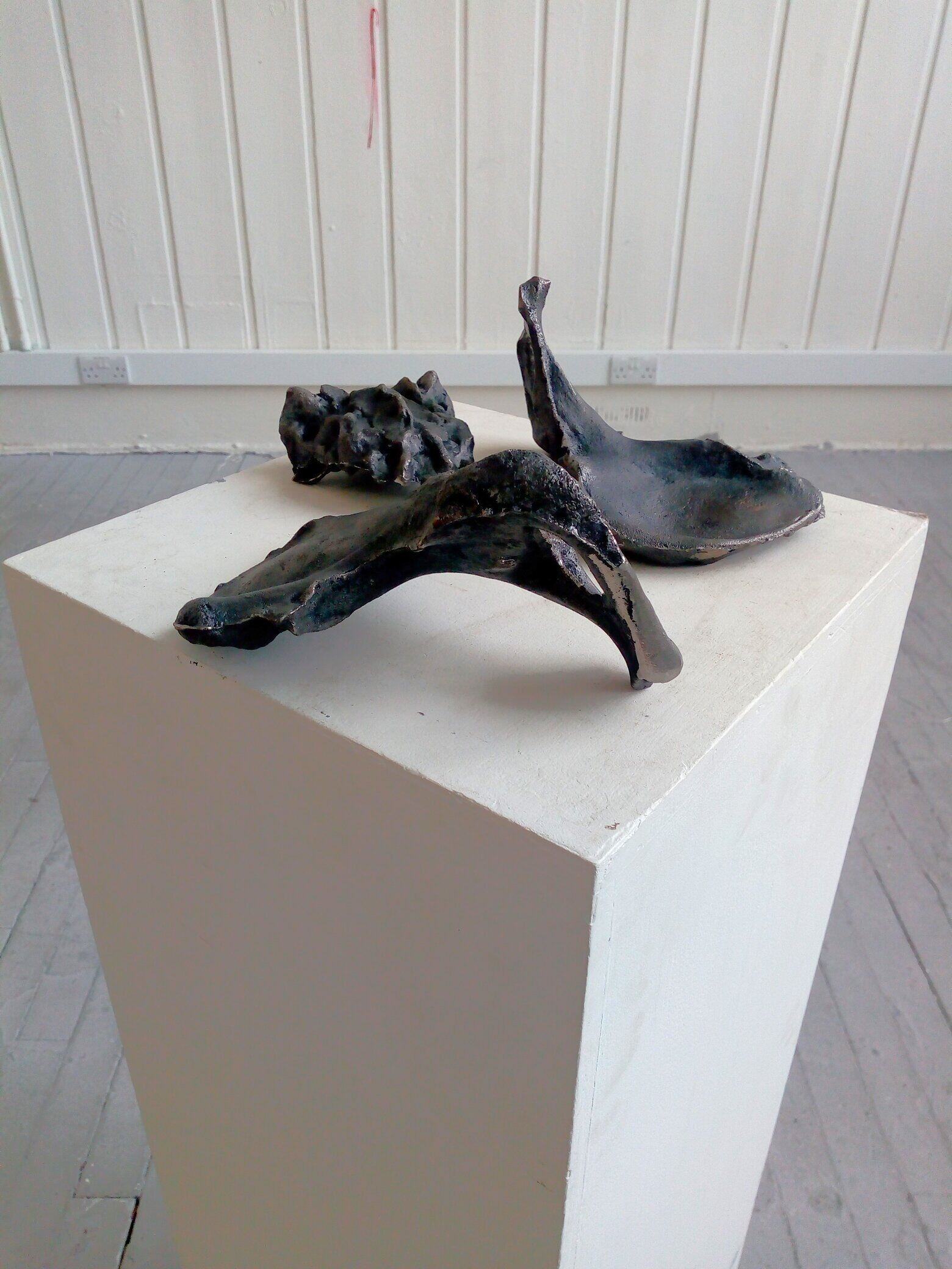 iron casts of hip bones and sacrum