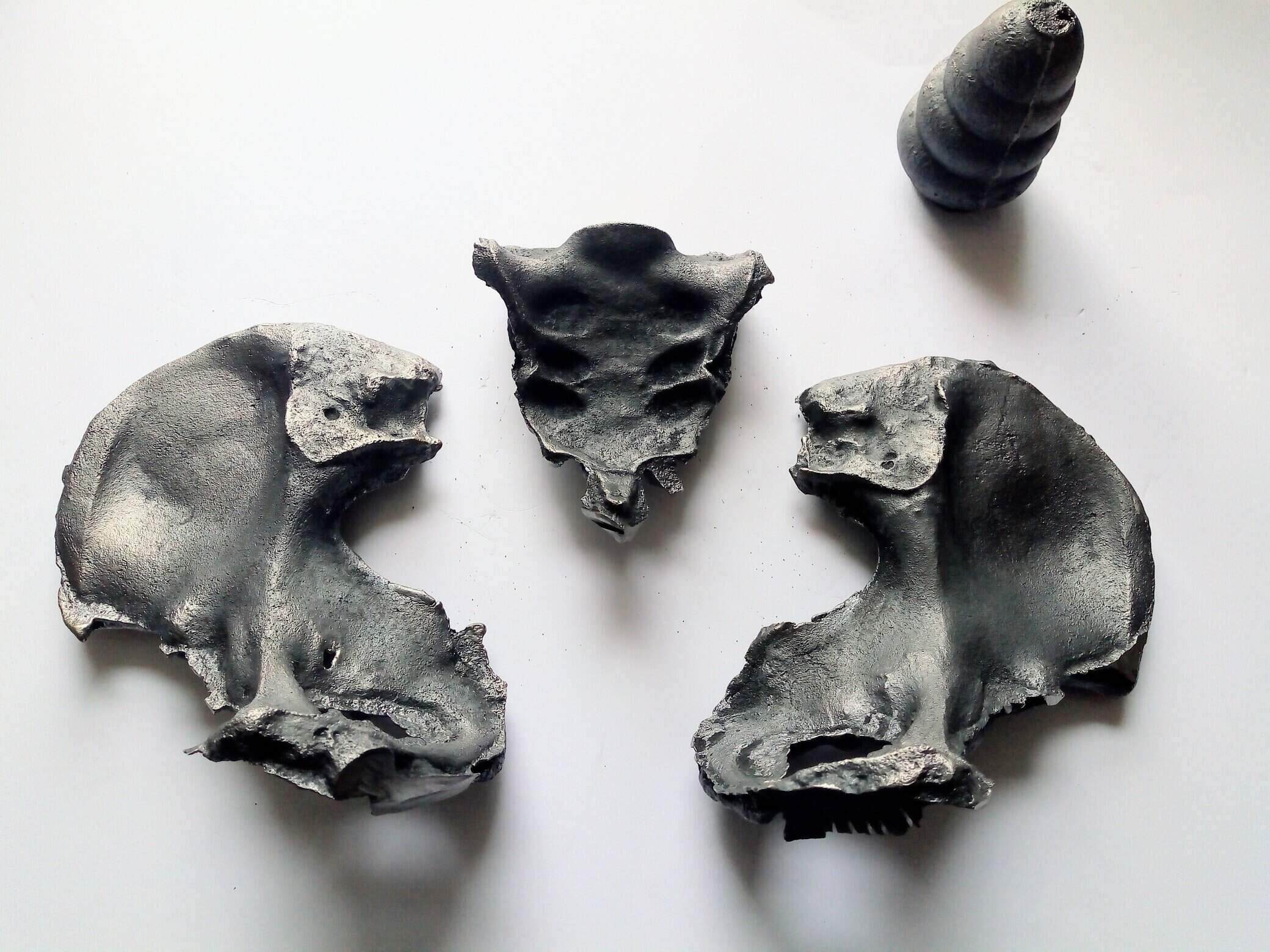 iron casts of hip bones and sacrum