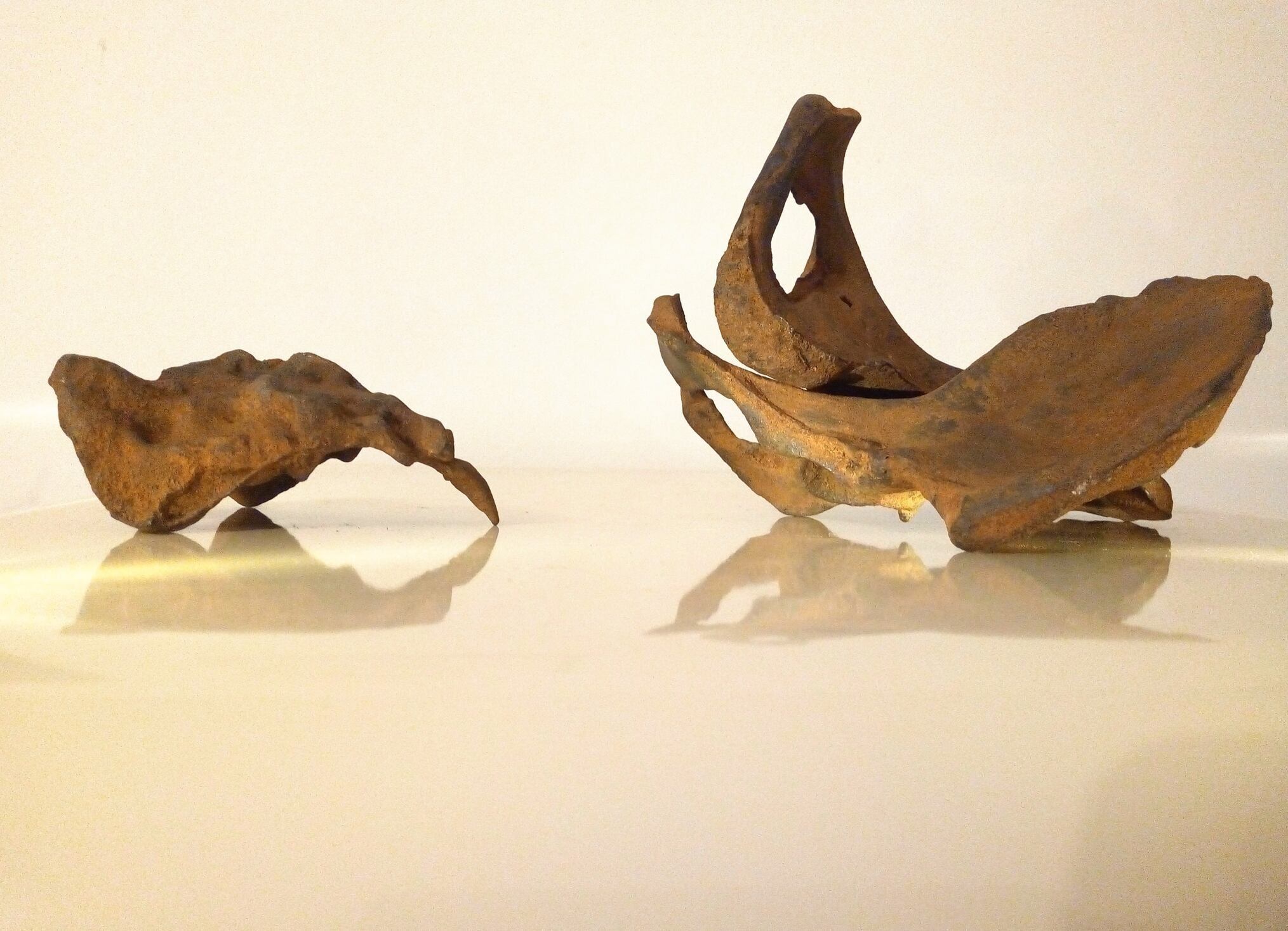 rusty iron casts of arranged pelvic bones