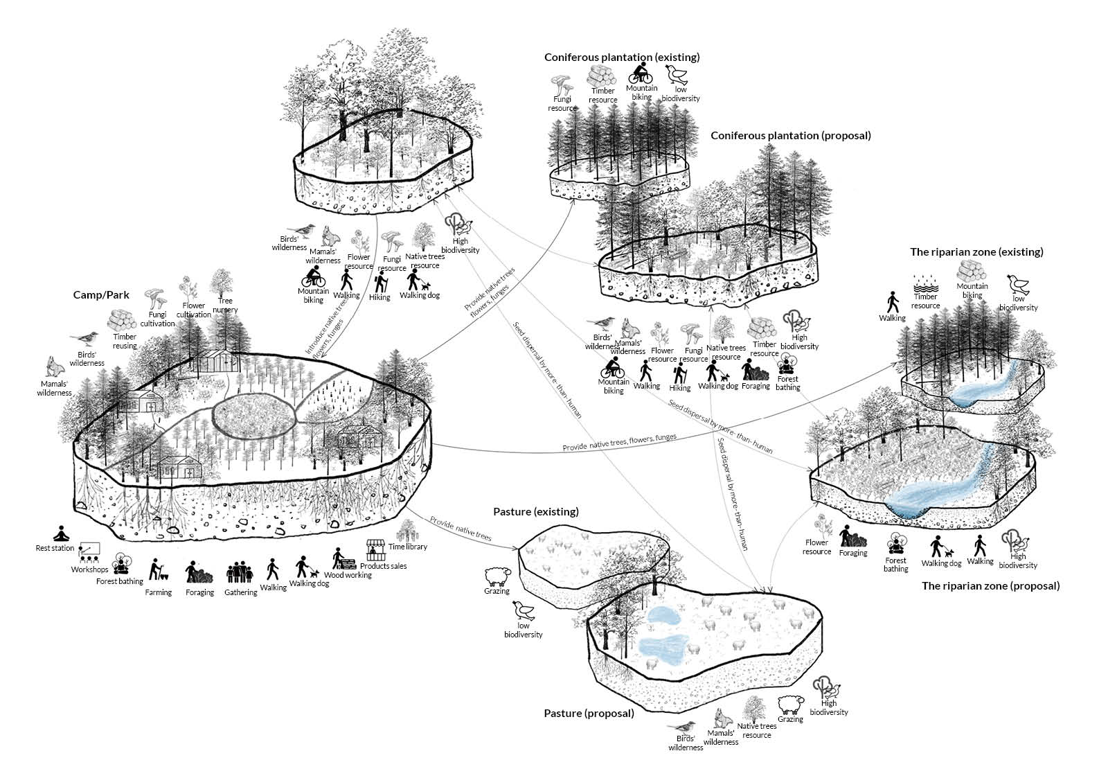 How the whole system works
