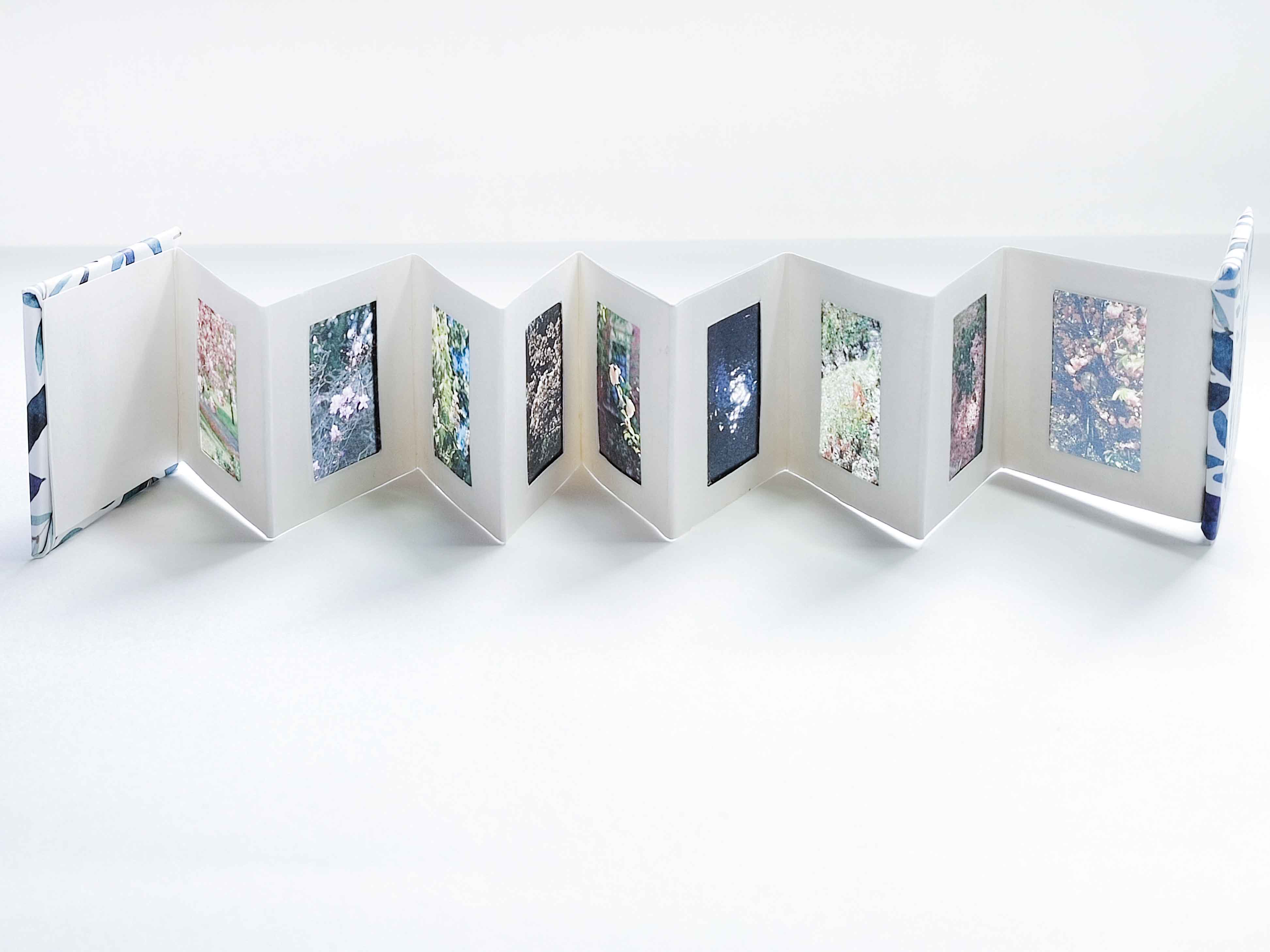 The Artist's Books