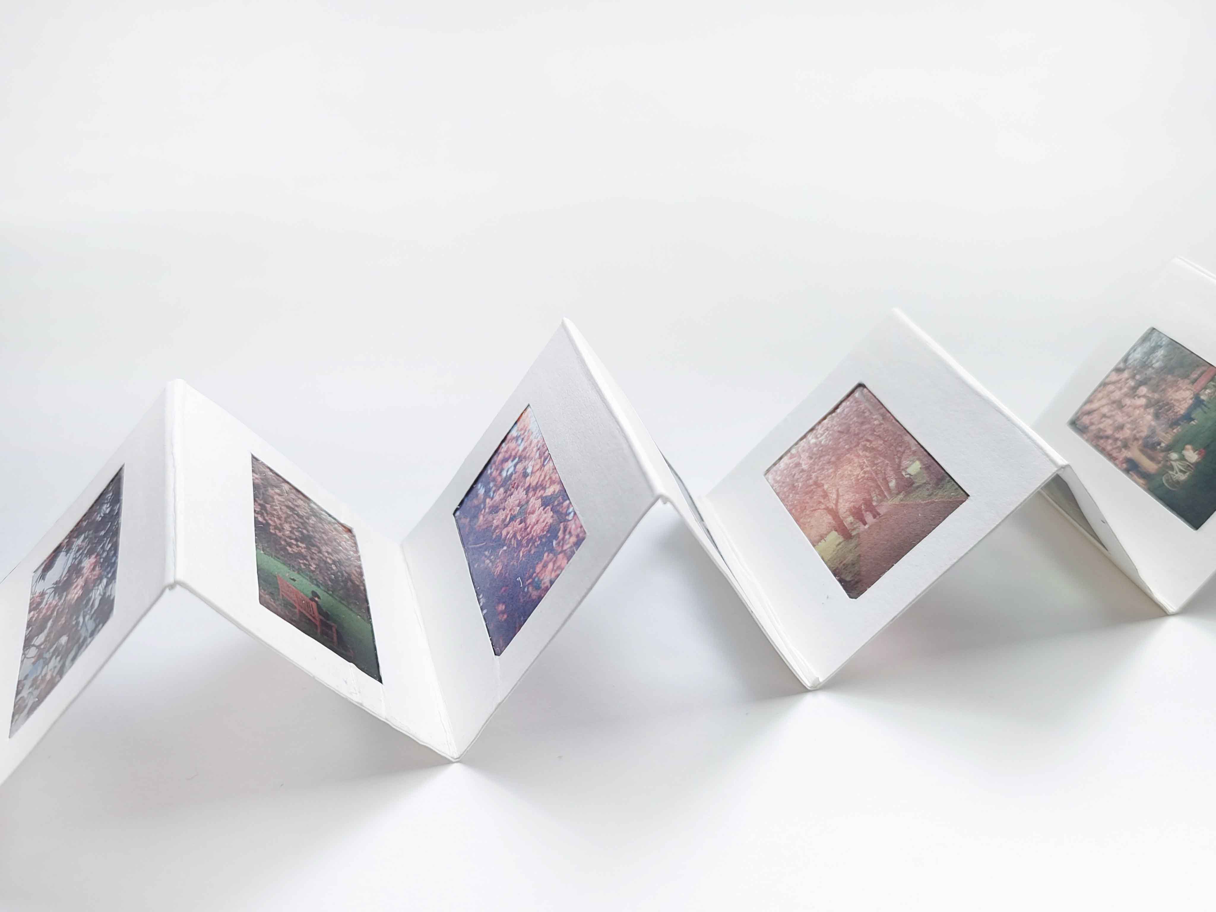 The Artist's Books