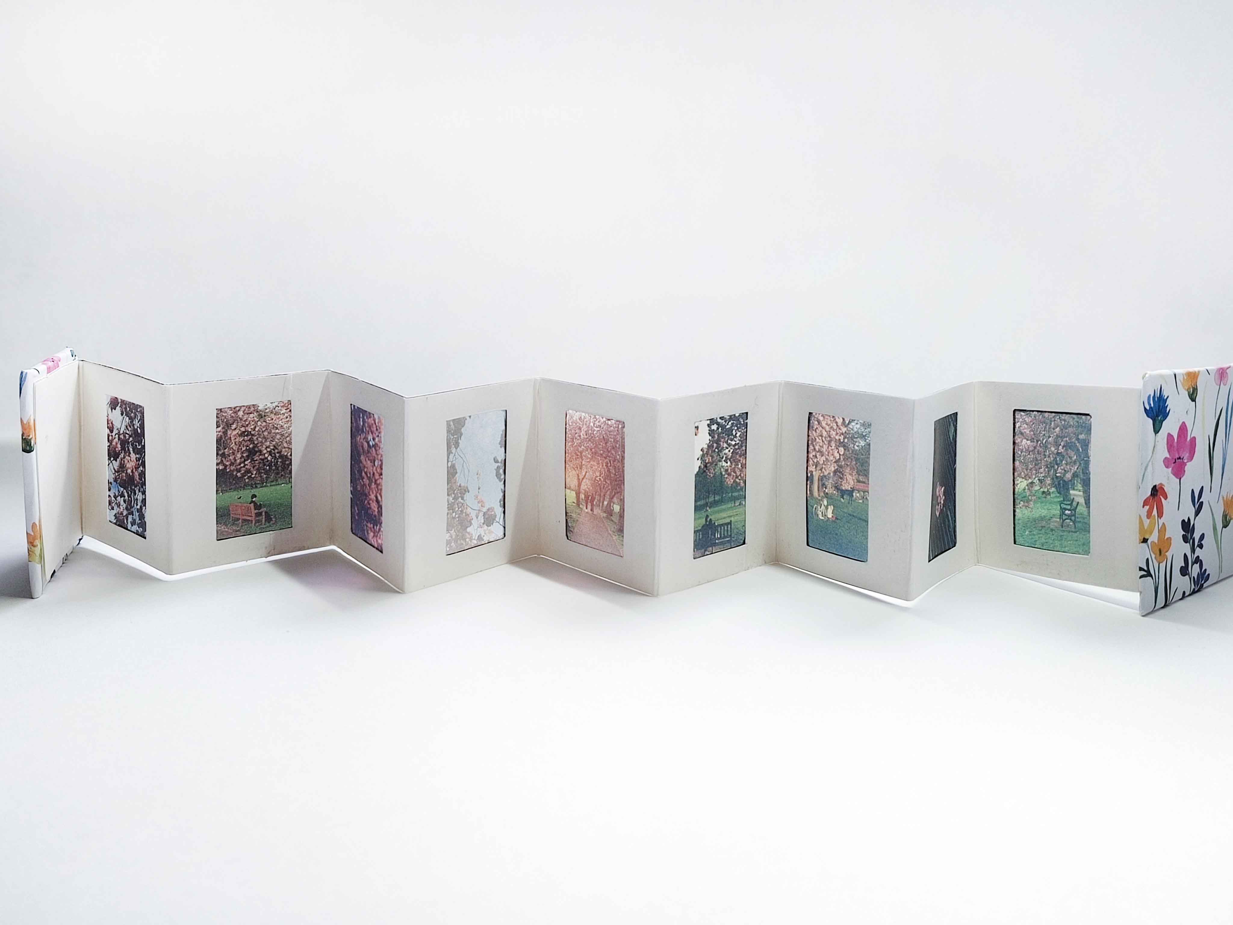 The Artist's Books