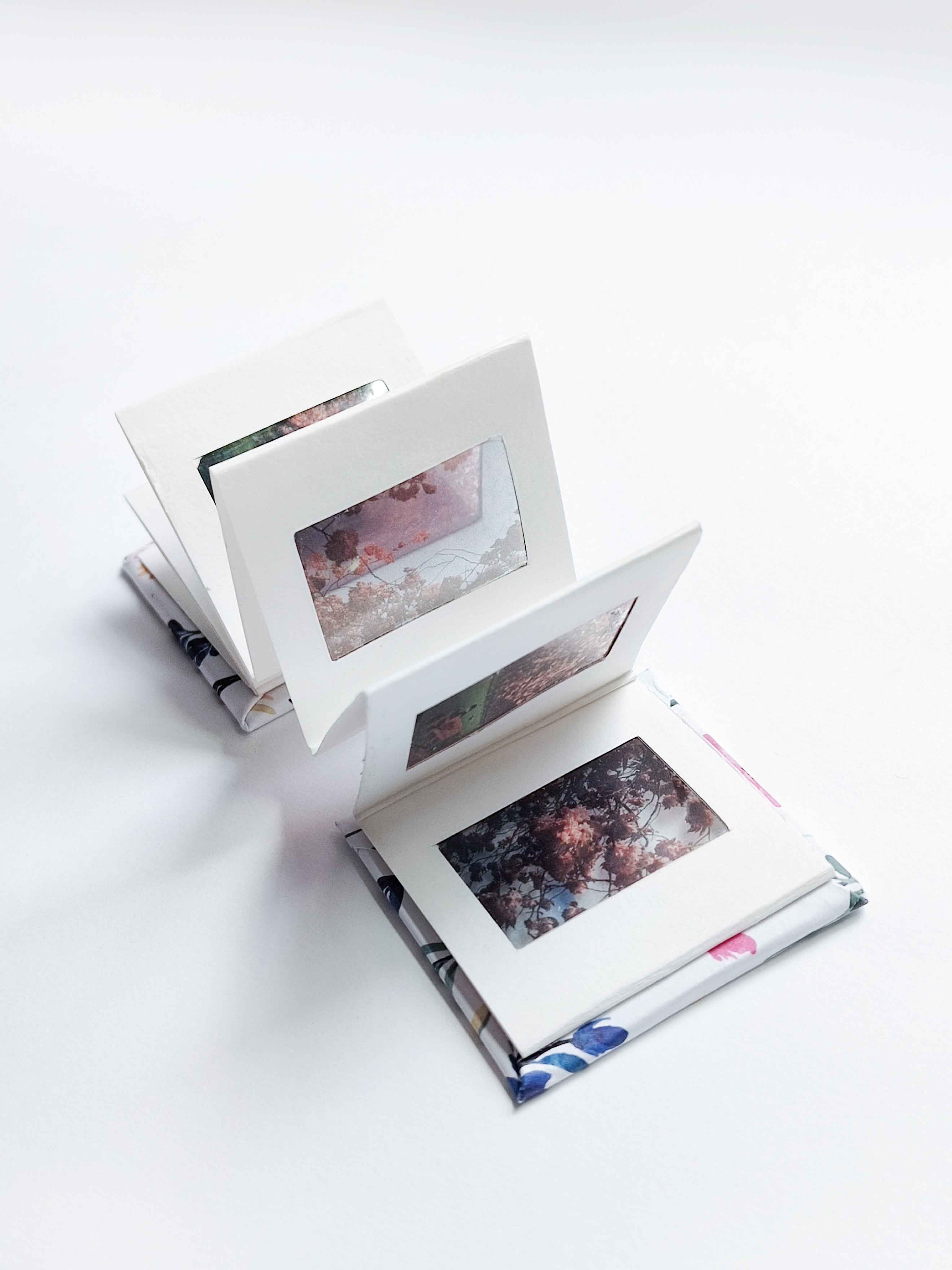 The Artist's Books