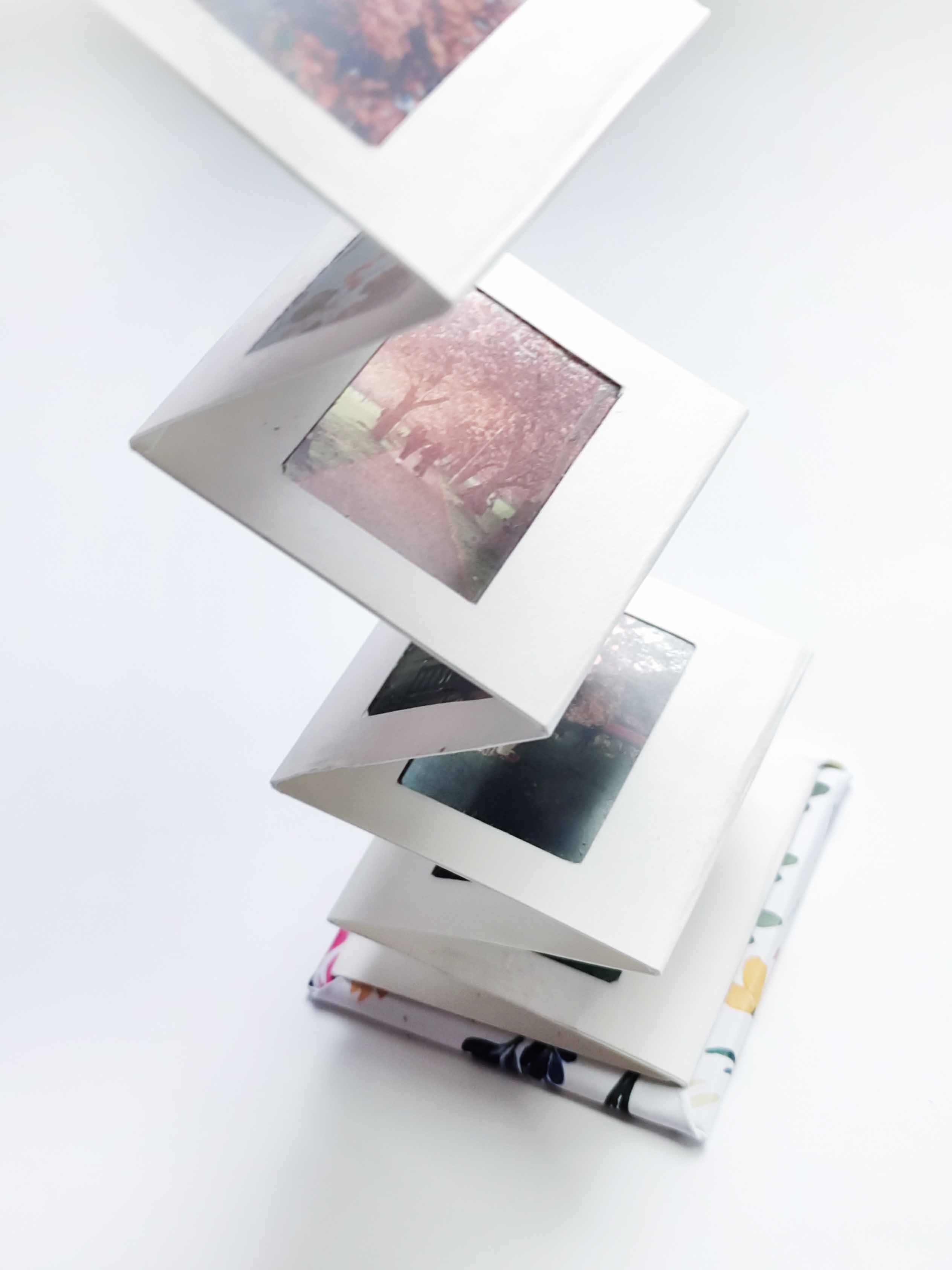 The Artist's Books