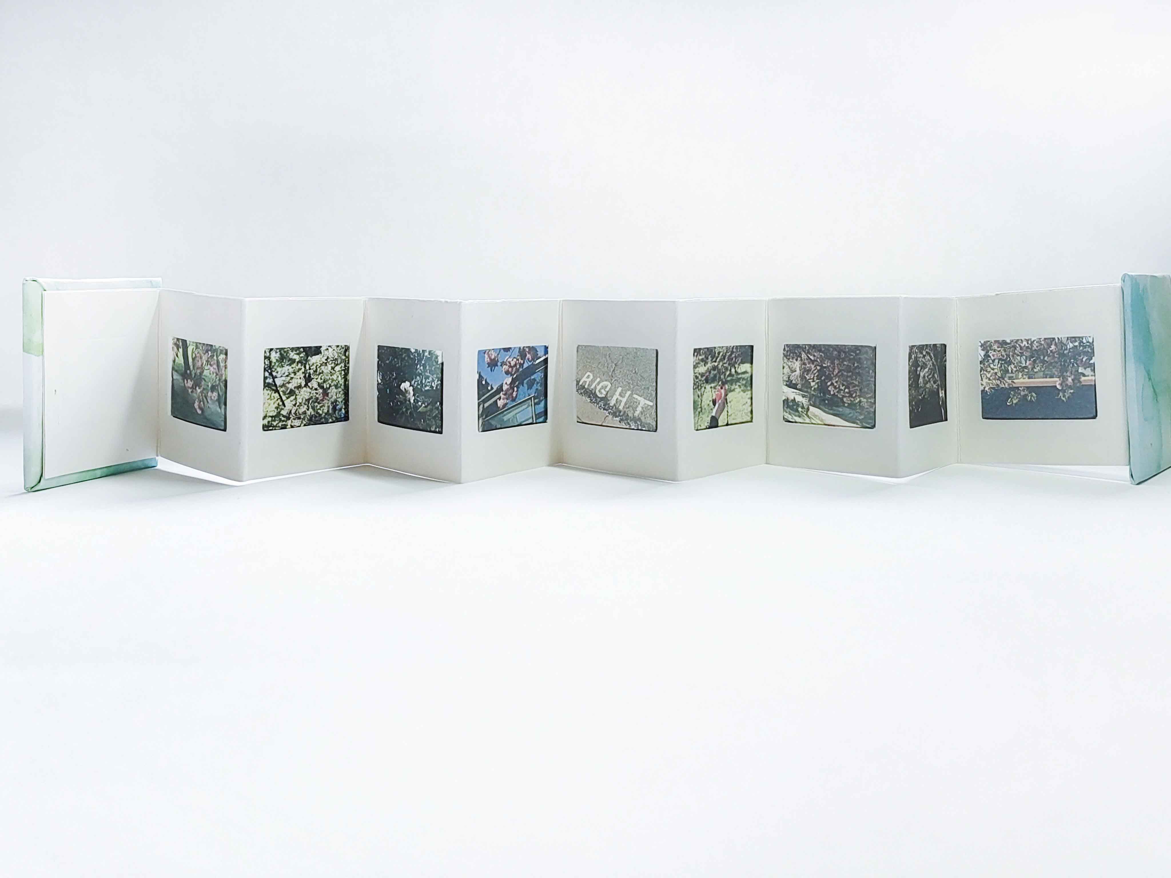 The Artist's Books