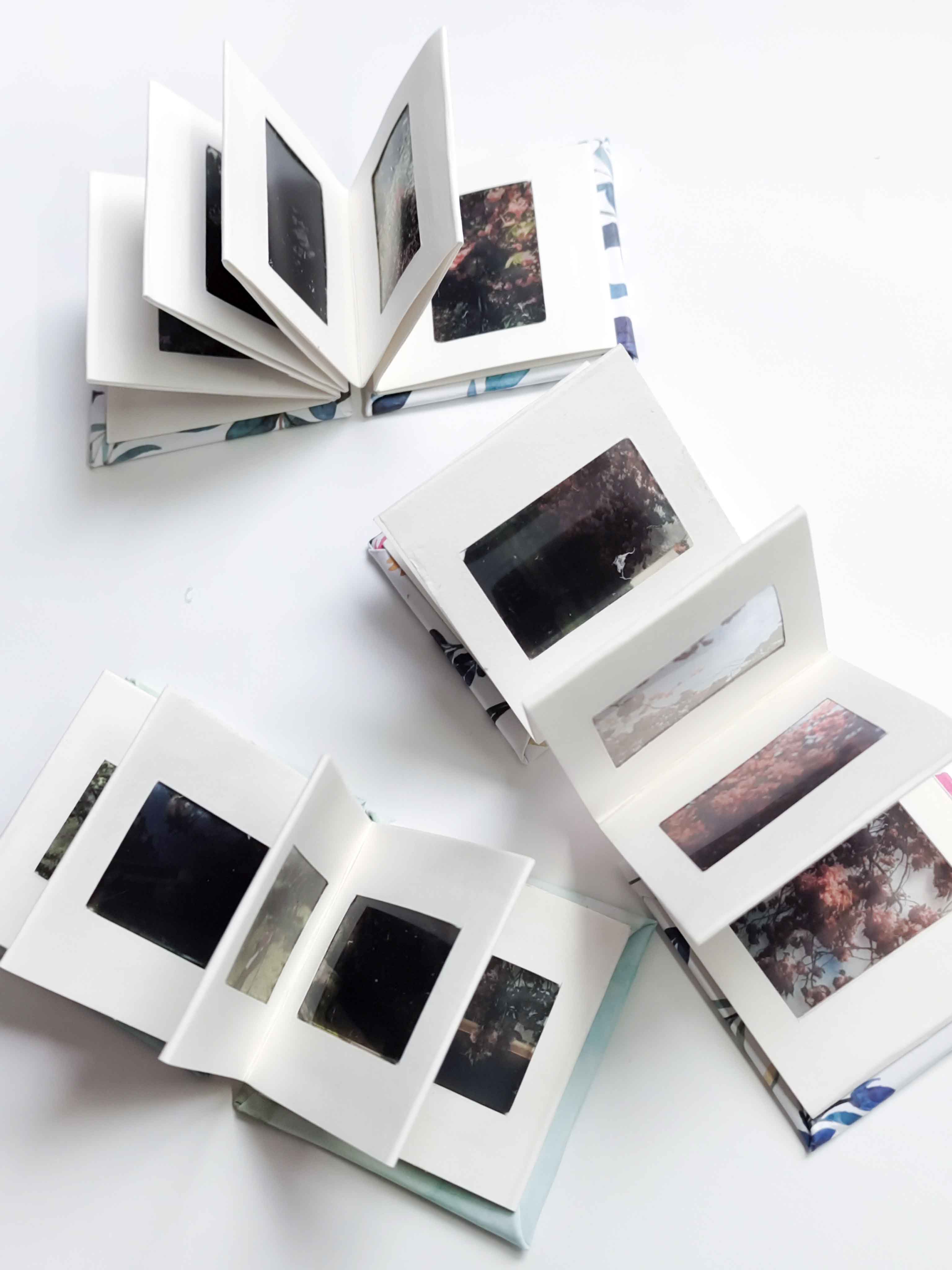 The Artist's Books