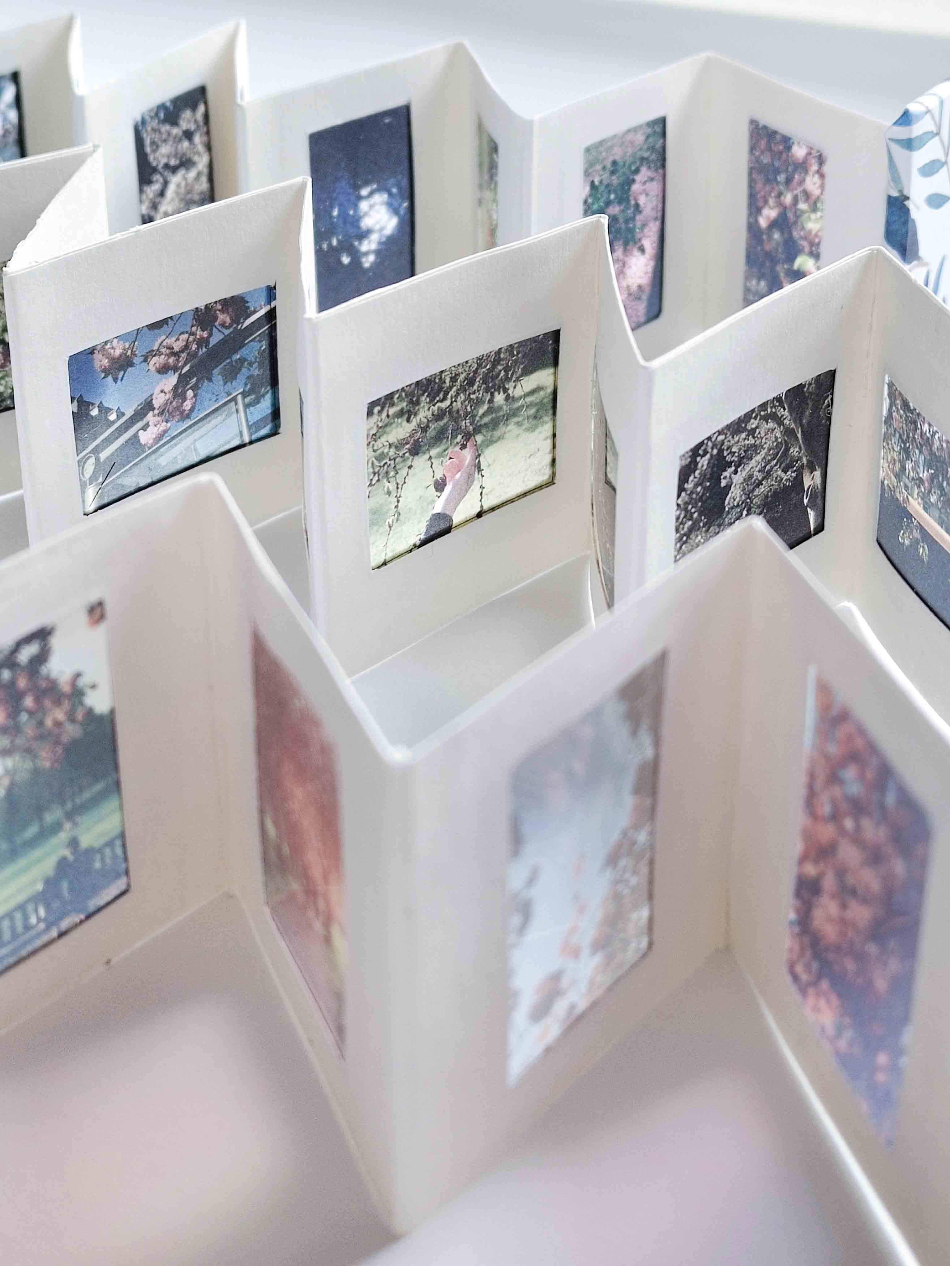 The Artist's Books
