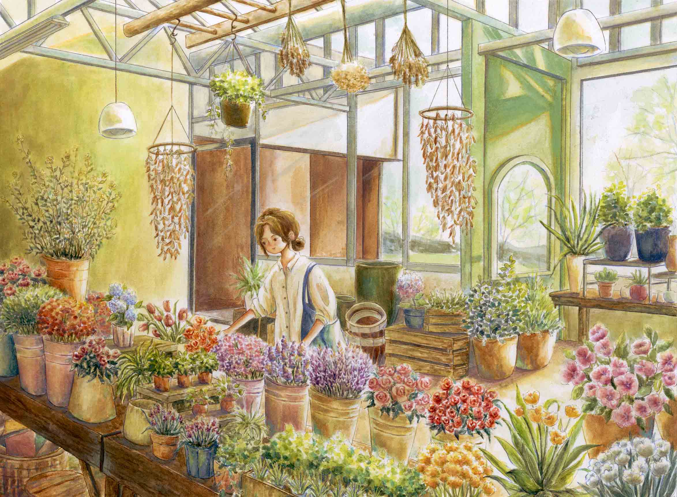 Illustration 8: Sunny Greenhouse