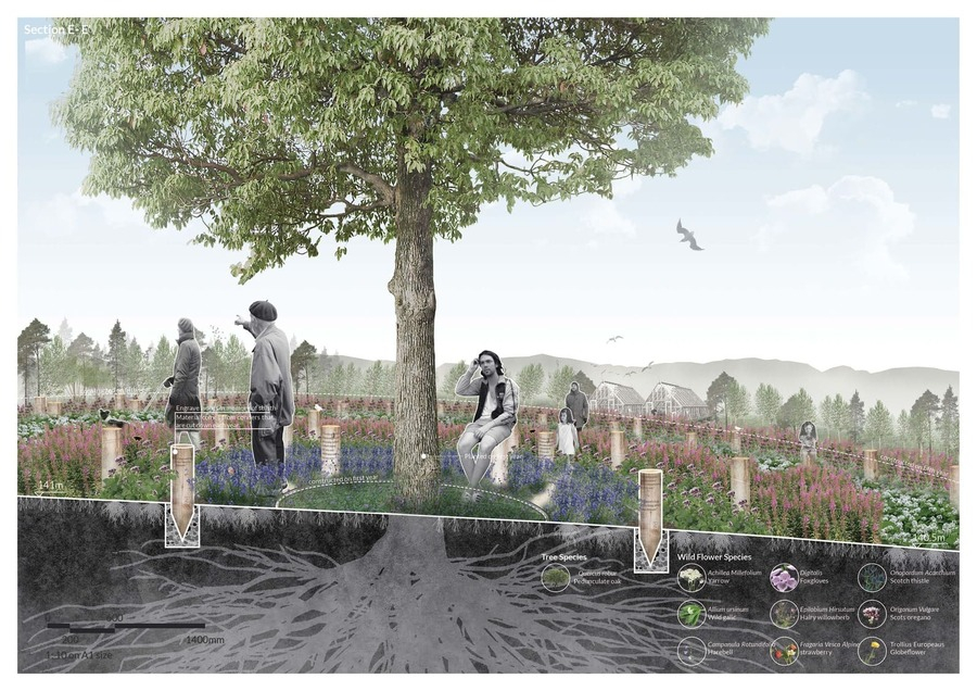 section shows time library