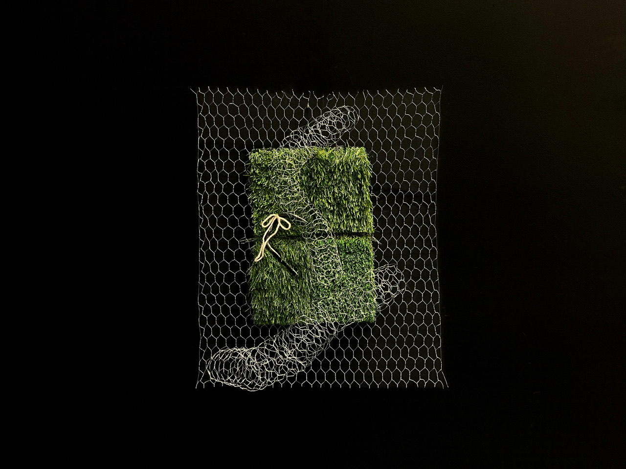 Flat chicken wire rectangle on black wall. Artificial grass squares sit in the middle of the chicken wire rectangle. On top of the artificial grass, two chicken wire worm frame sit, protruding out from the flat wall. In the artificial grass is a large steel fishhook with a pink acrylic yarn thread wrapped around the hook-end.
