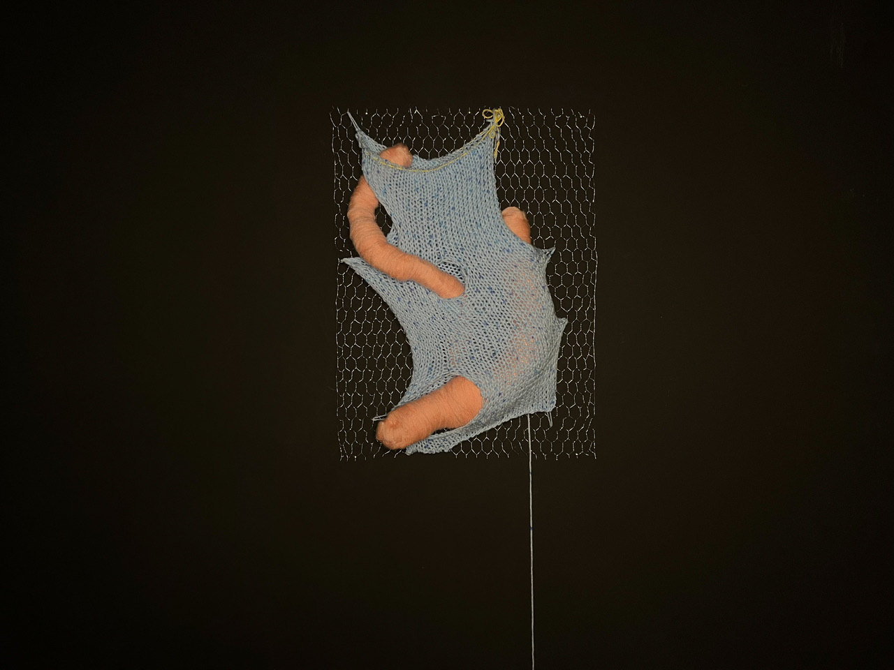 Rectangle of chicken wire flat against a black wall. A long light blue mottled knitted tube is snagged on the sharp chicken wire. Through the holes knitted into the tube, pink acrylic yarn worms are woven in and out, protruding the blue knit tube.