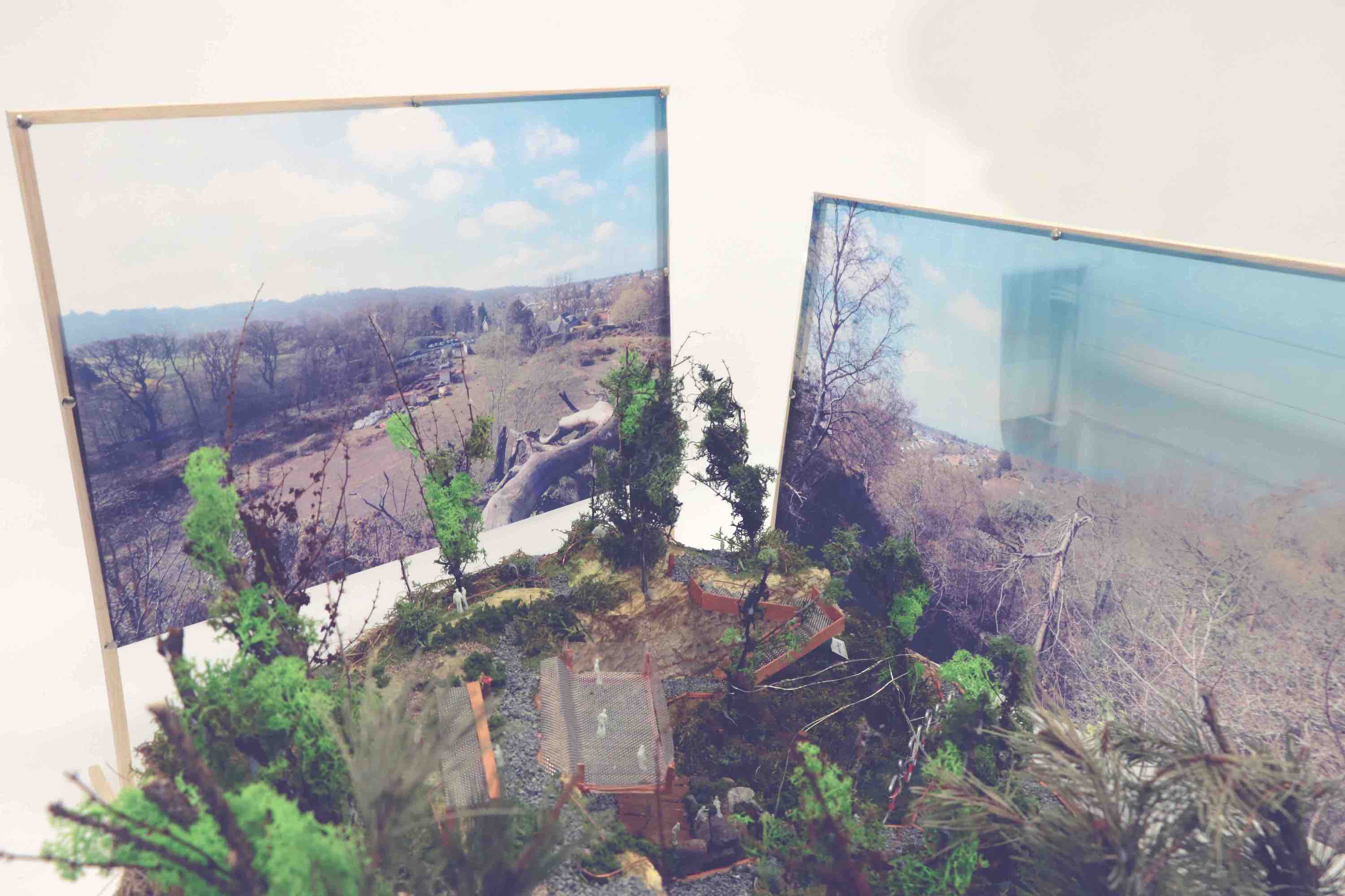 Landscape Architecture Model