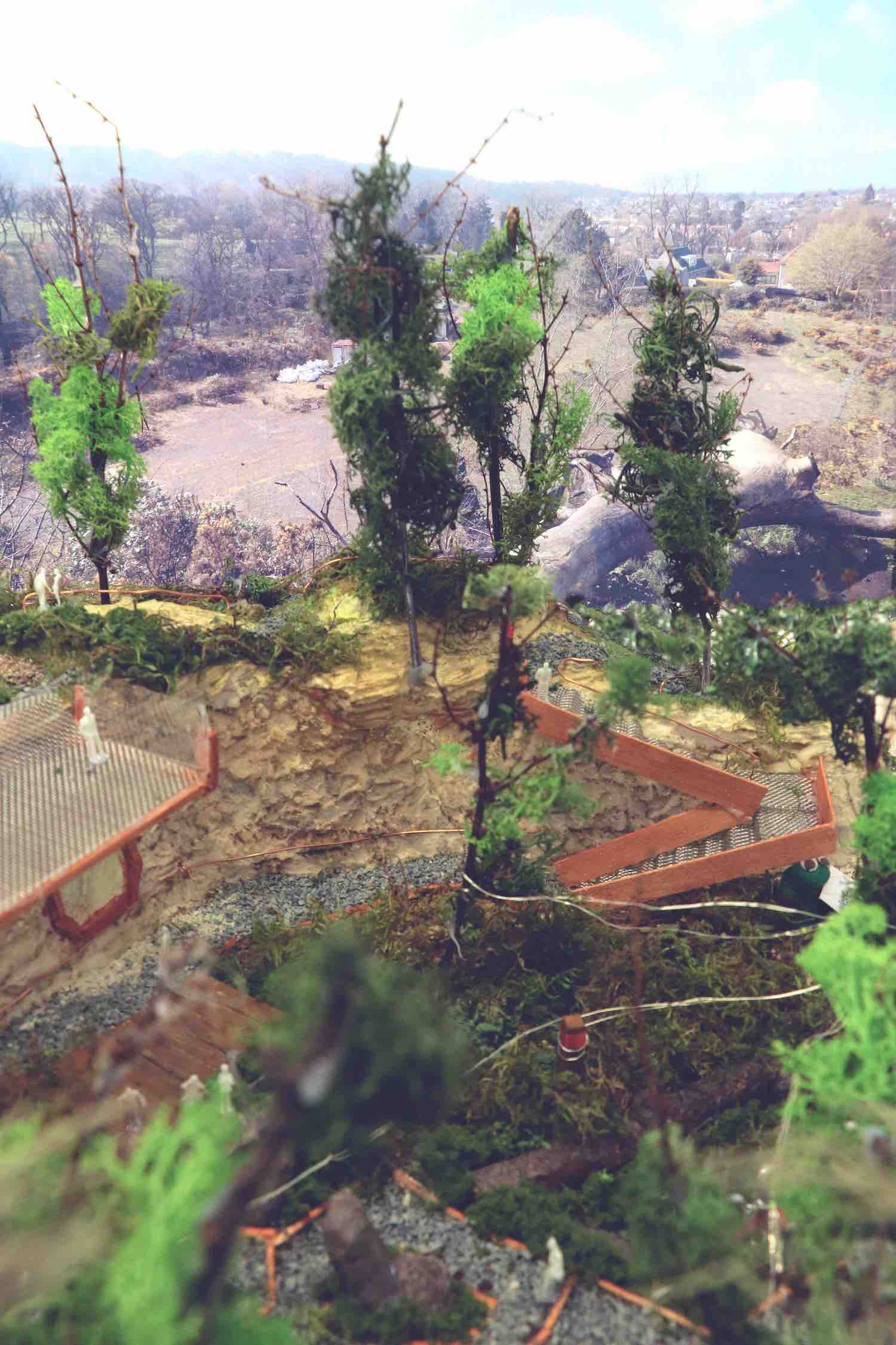 Landscape Architecture Model