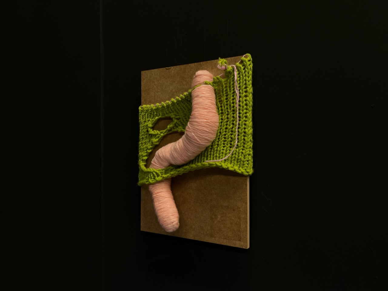 Plywood board on black wall. The board has green knitted tube stretched over it with holes knitted into it with a pink acrylic yarn worm bending through the holes.