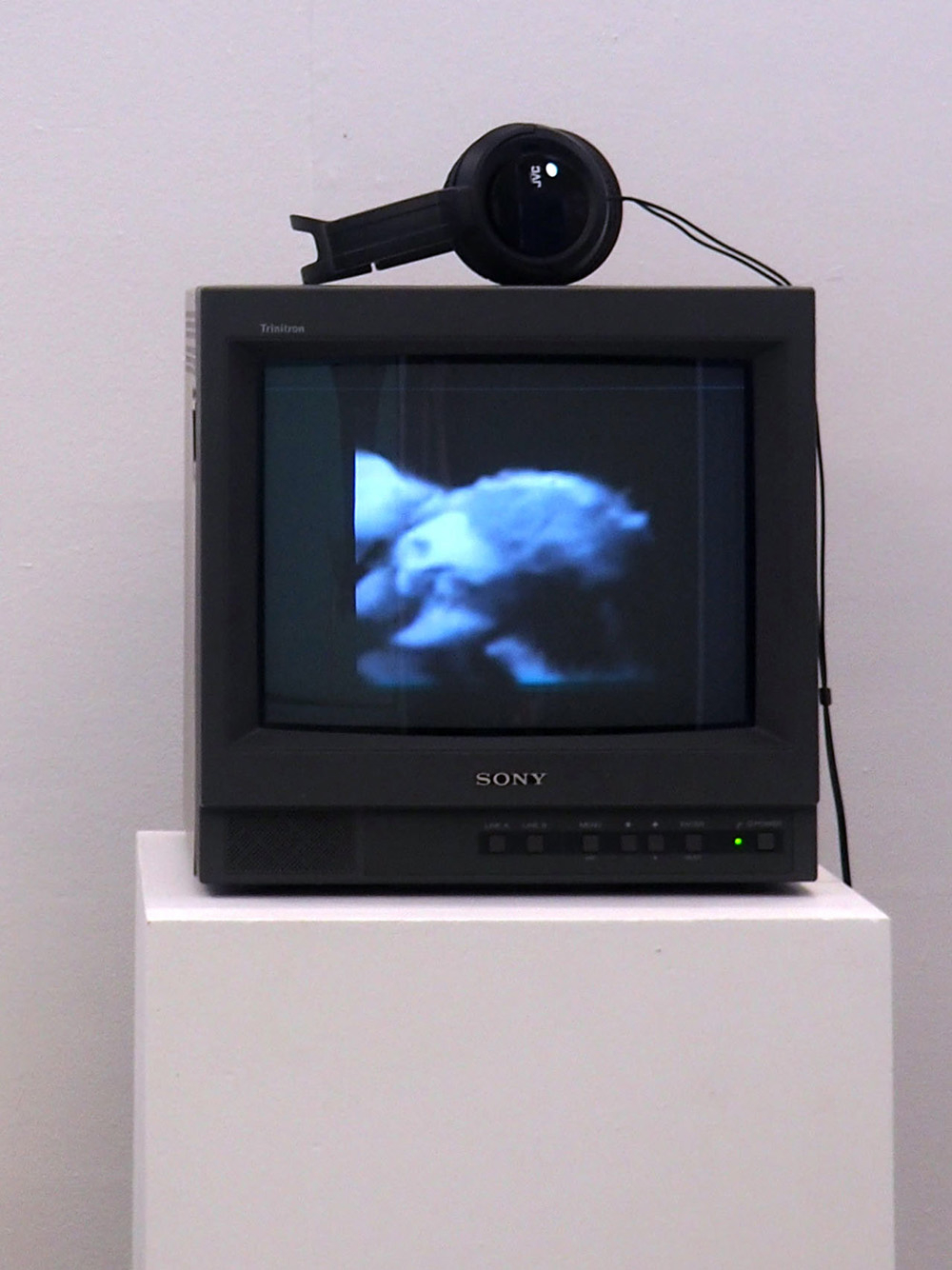 Photograph of a video on a CRT screen.