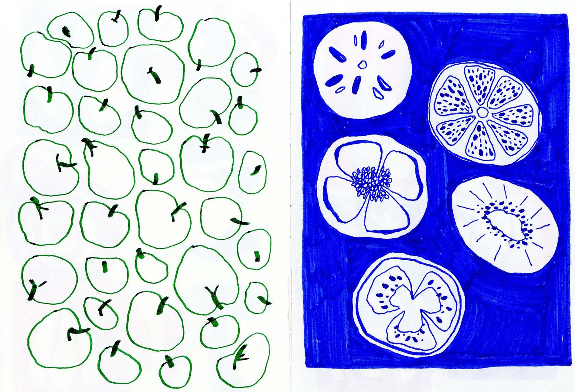 sketchbook spread drawings of abstract produce 