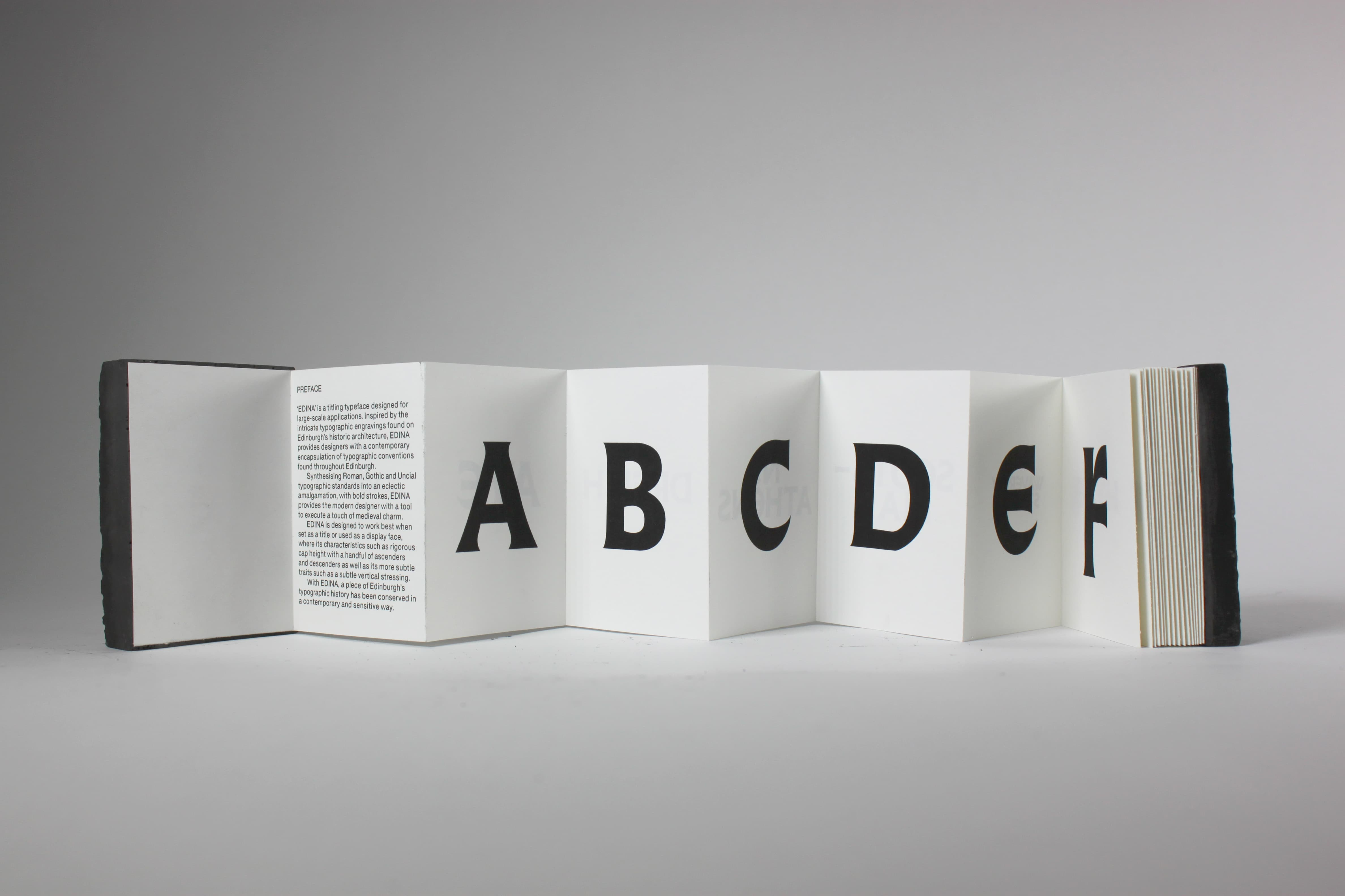 Standing shot of Edina type specimen