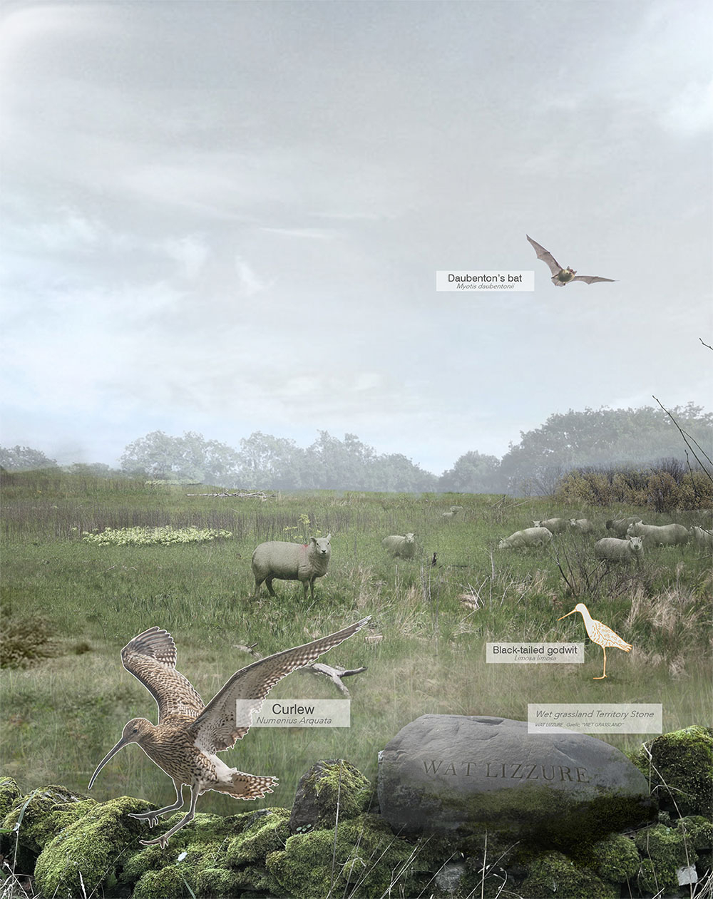 Floodplain area visualization (in 50yrs)