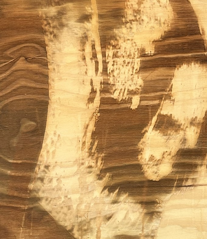 A closeup of laser-engraved plywood 