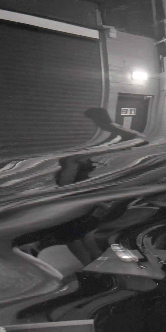 Distorted image of a performer in black and white.