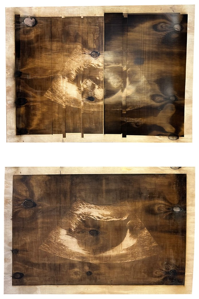 Laser-etched sonograms on 2 sheets of plywood 
