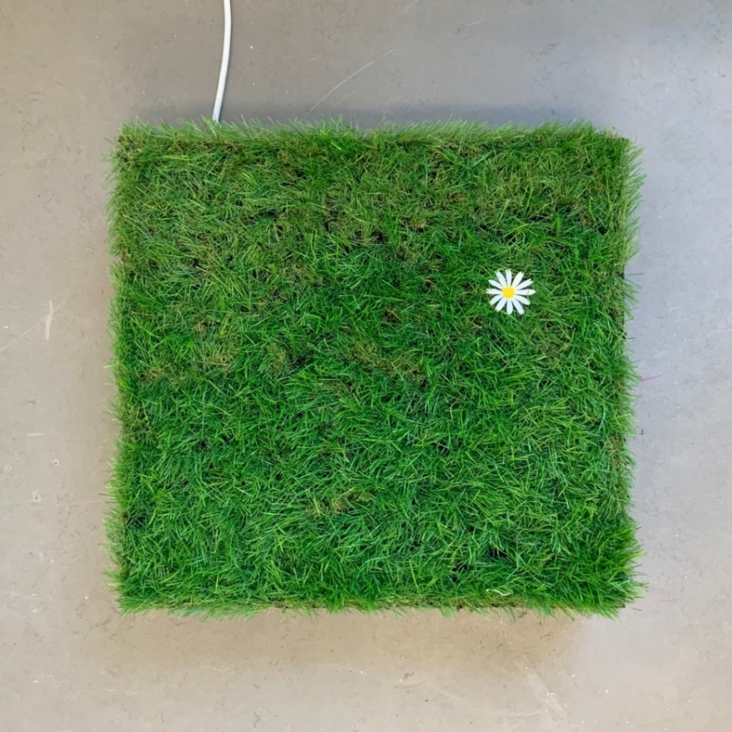 Ariel view, field of sighing wind