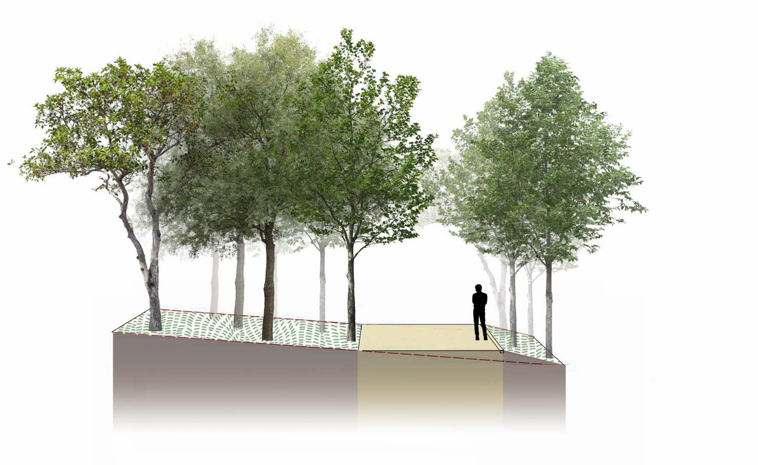 section of water path