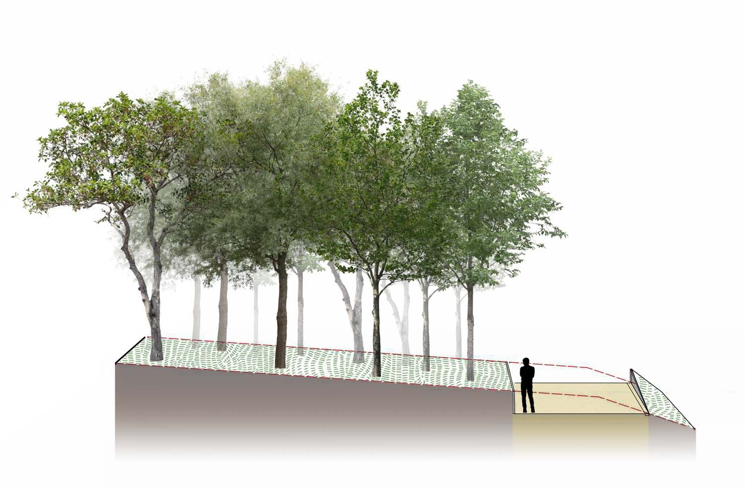 Section of water path