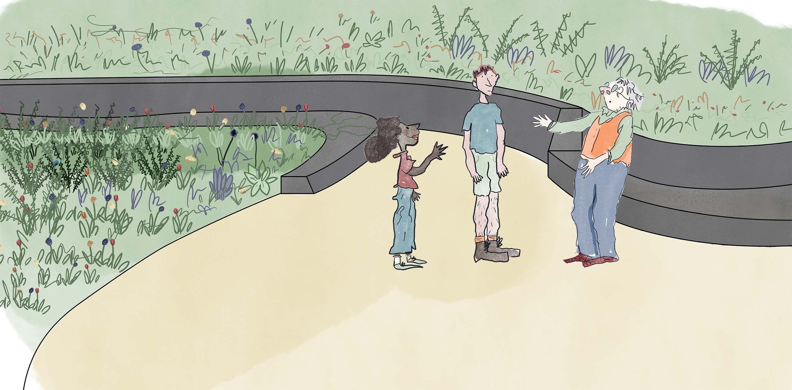 Sketch of sensory path