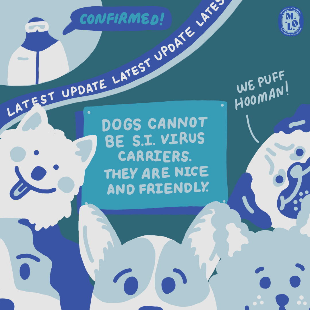 dogs cannot be carriers