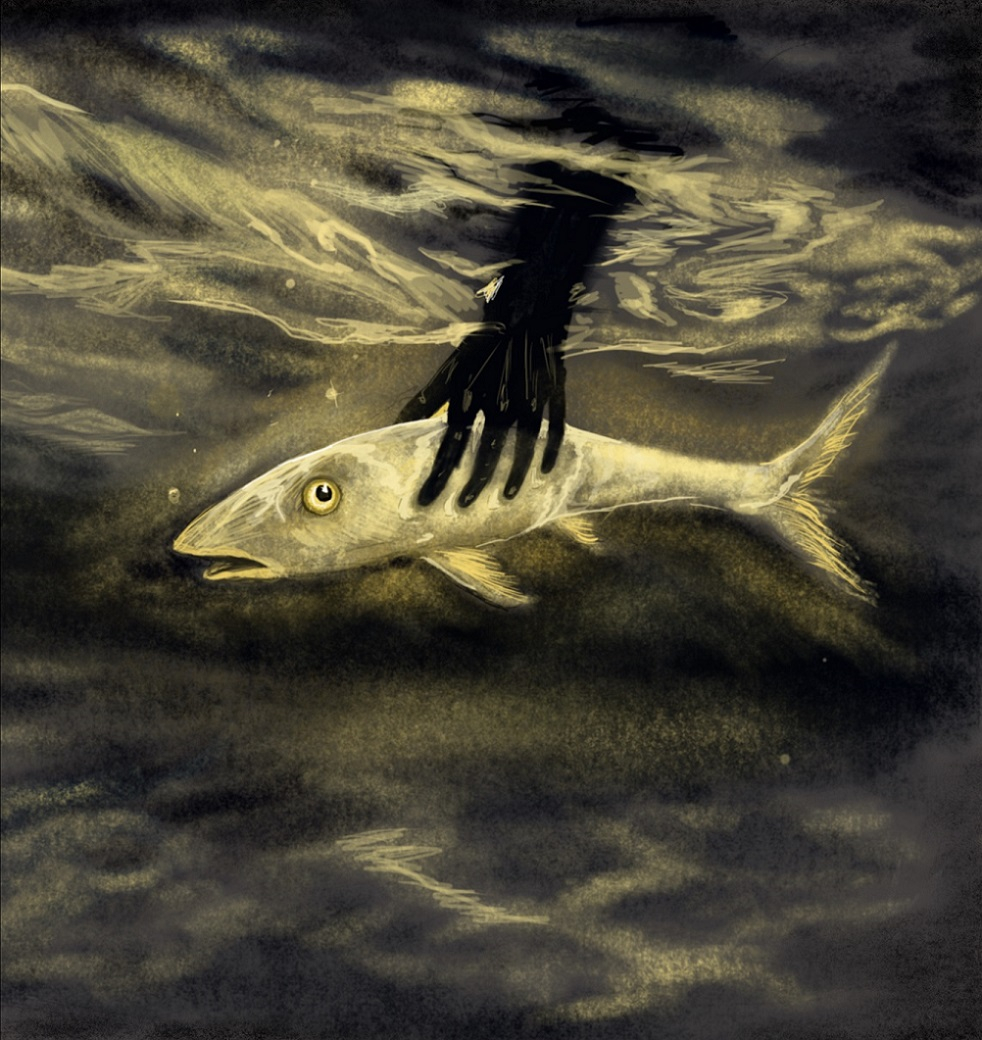 black and yellow fish