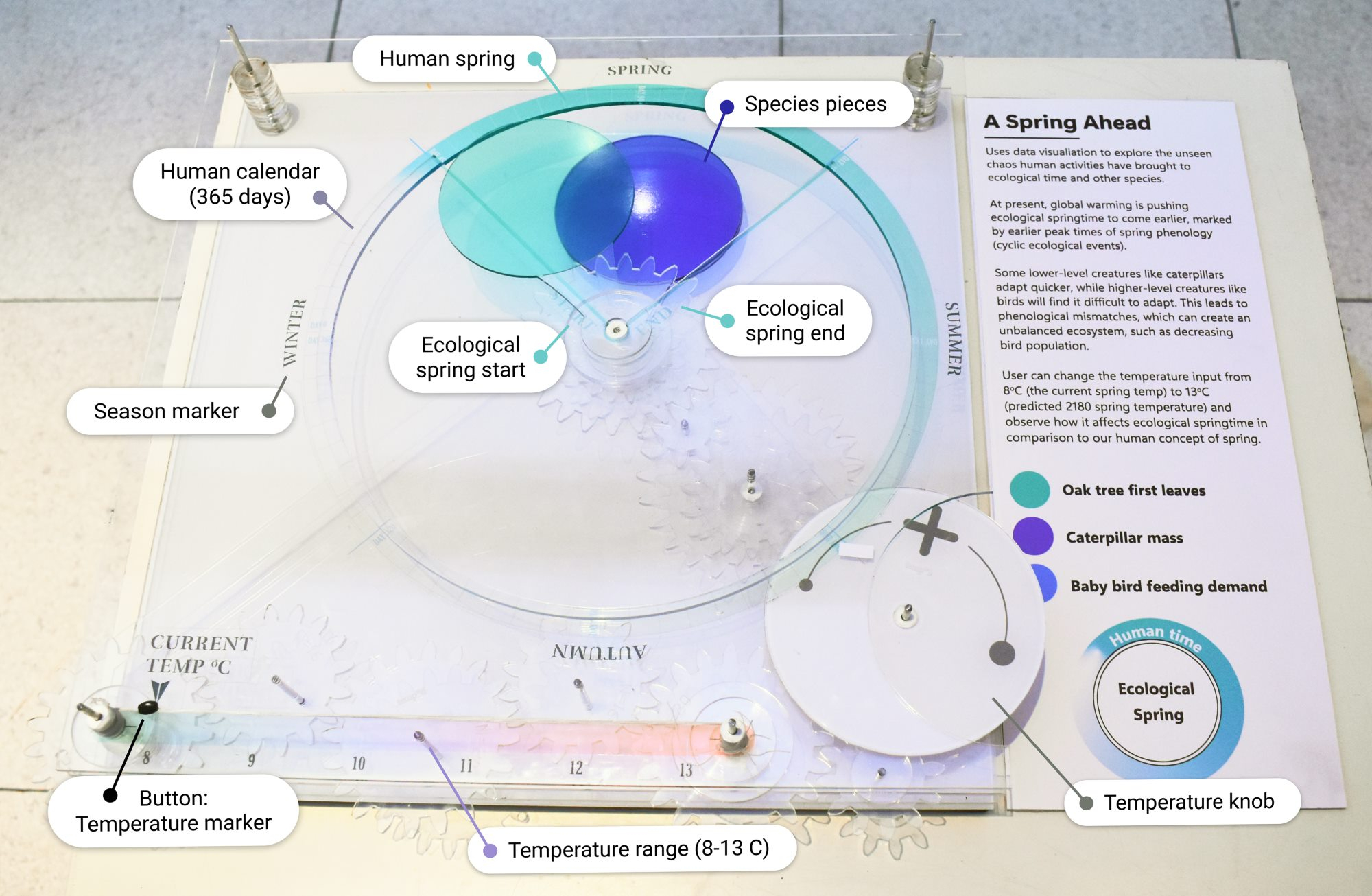 A Spring Ahead, detailed explanation