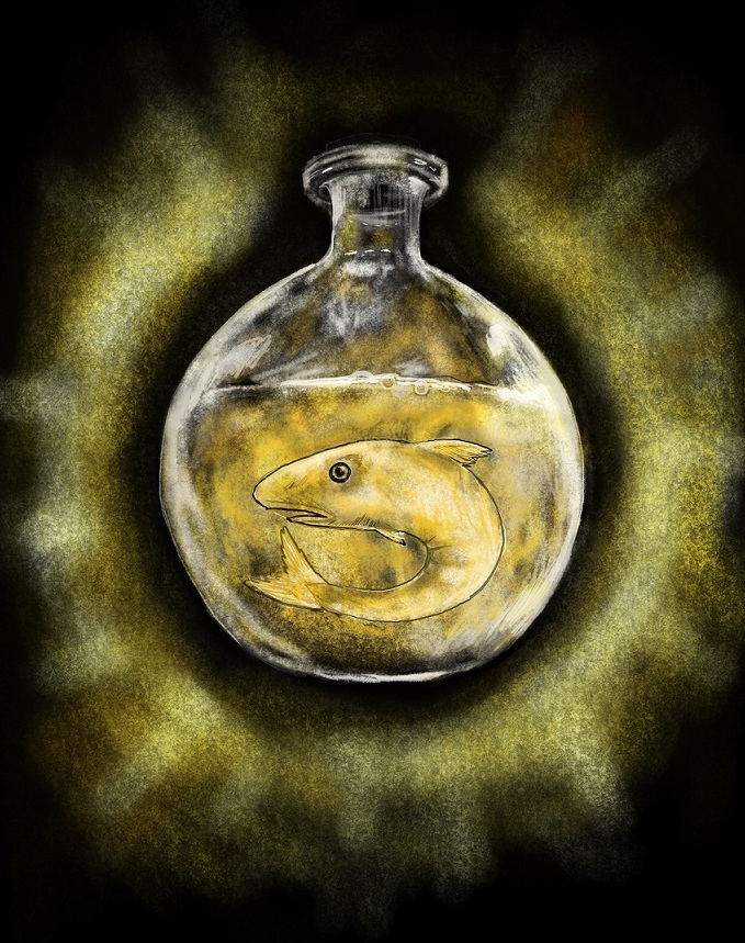 fish jar 