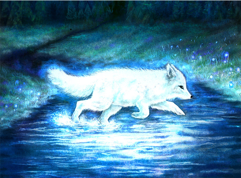 fox zoom
