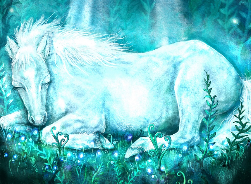 kelpie close up