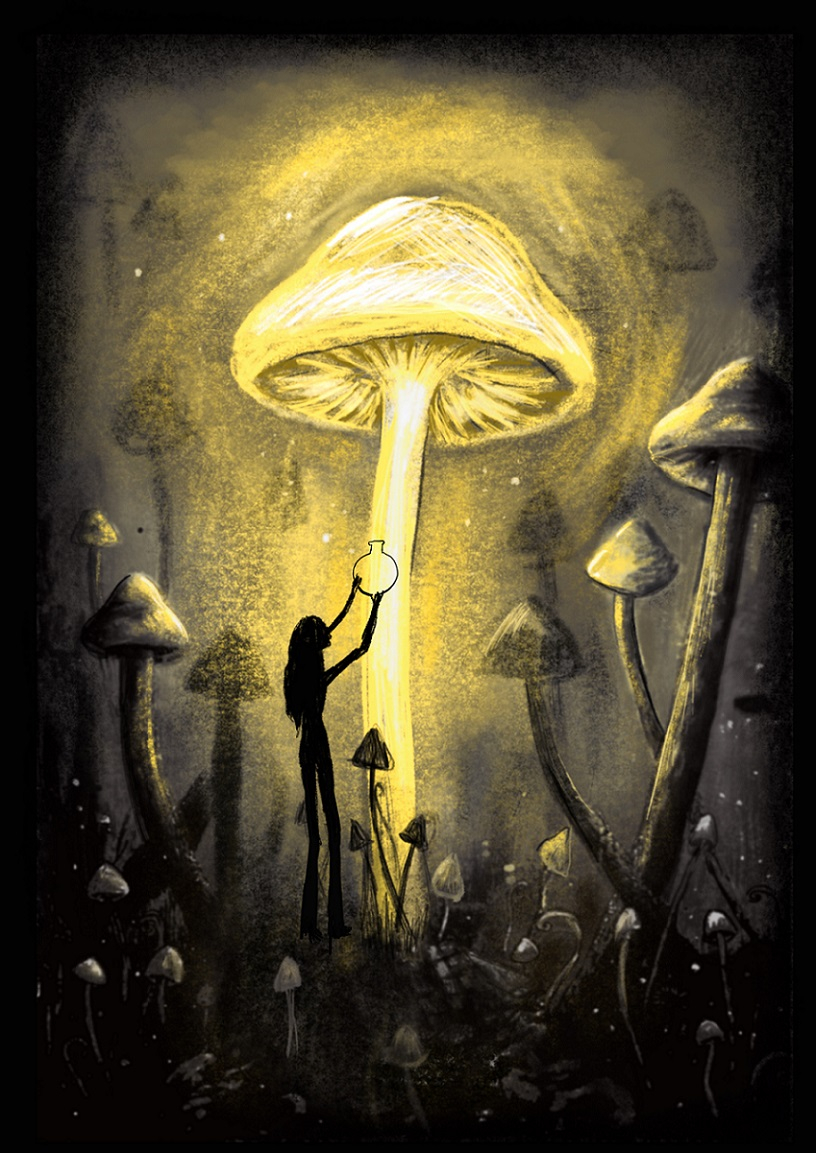 mushroom glow