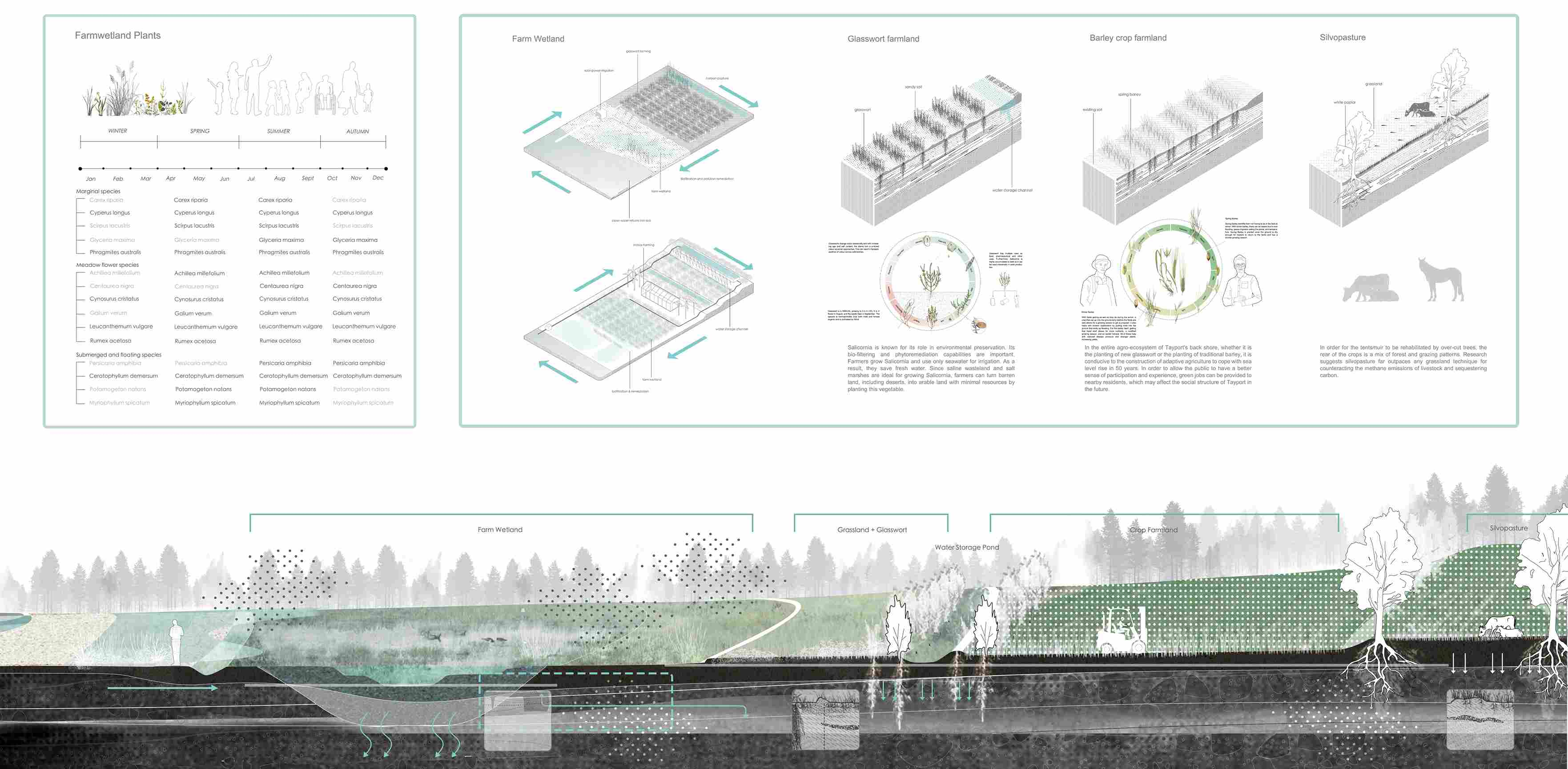 Backshore Design Detail
