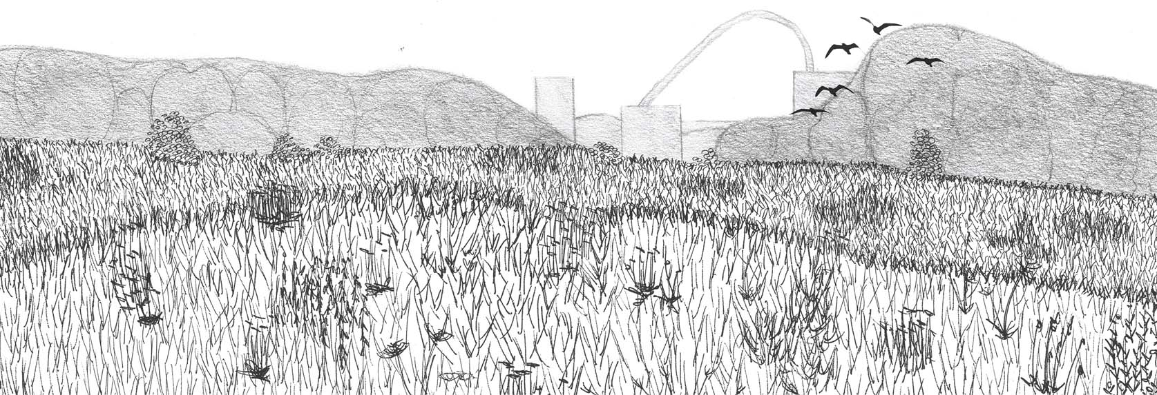 Conservation Area of grassland meadow looking towards the Wembley Arch