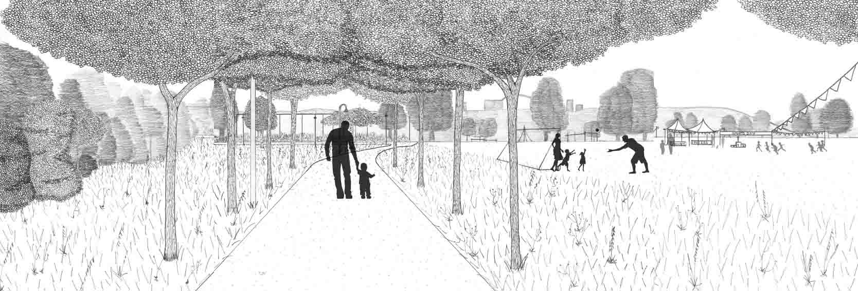 Avenue of Prunus ‘Kanzan’ underplanted with Narcissus ‘Dutch Master’ in grassland meadow 